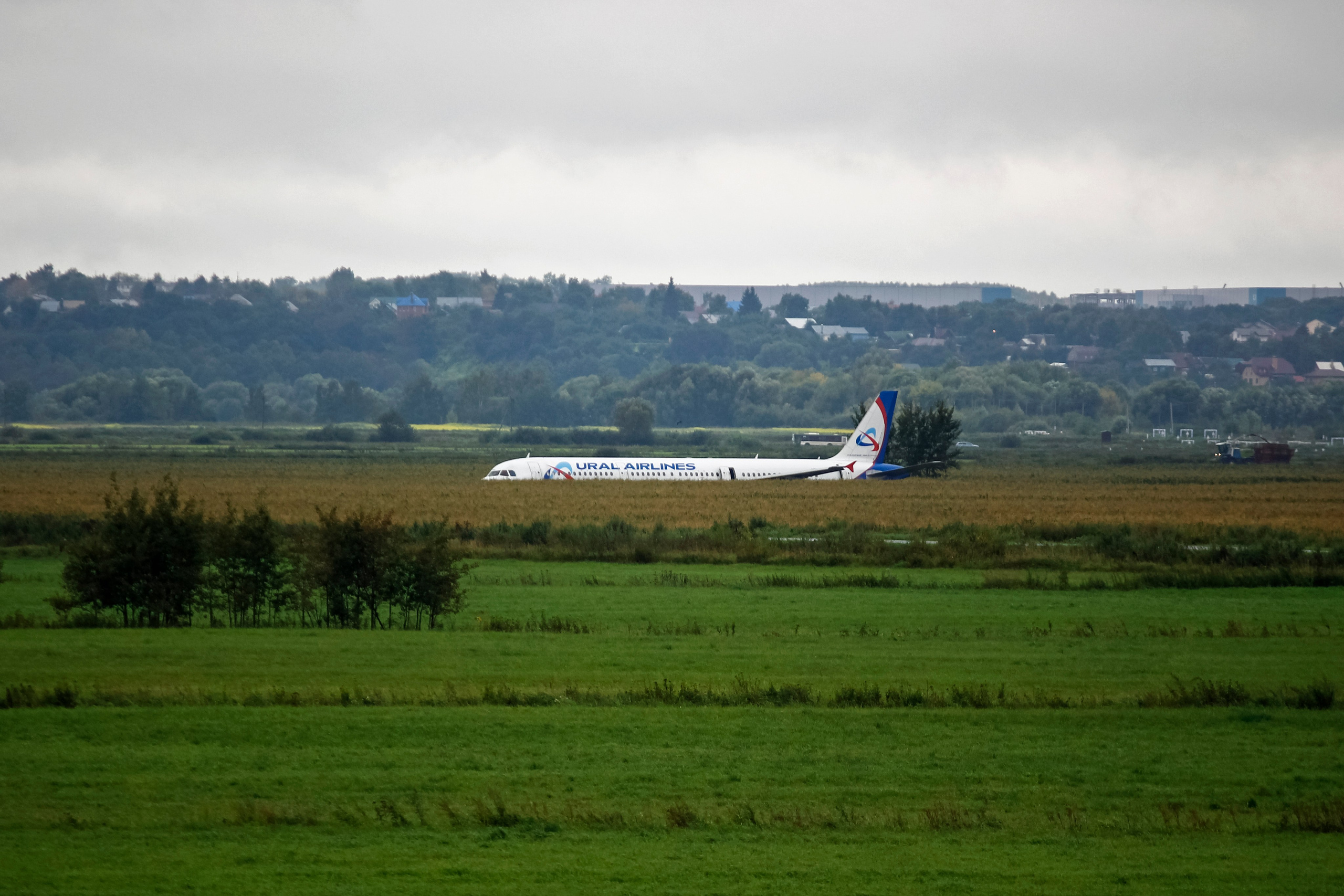 Автор: Серёжа Цюцюра