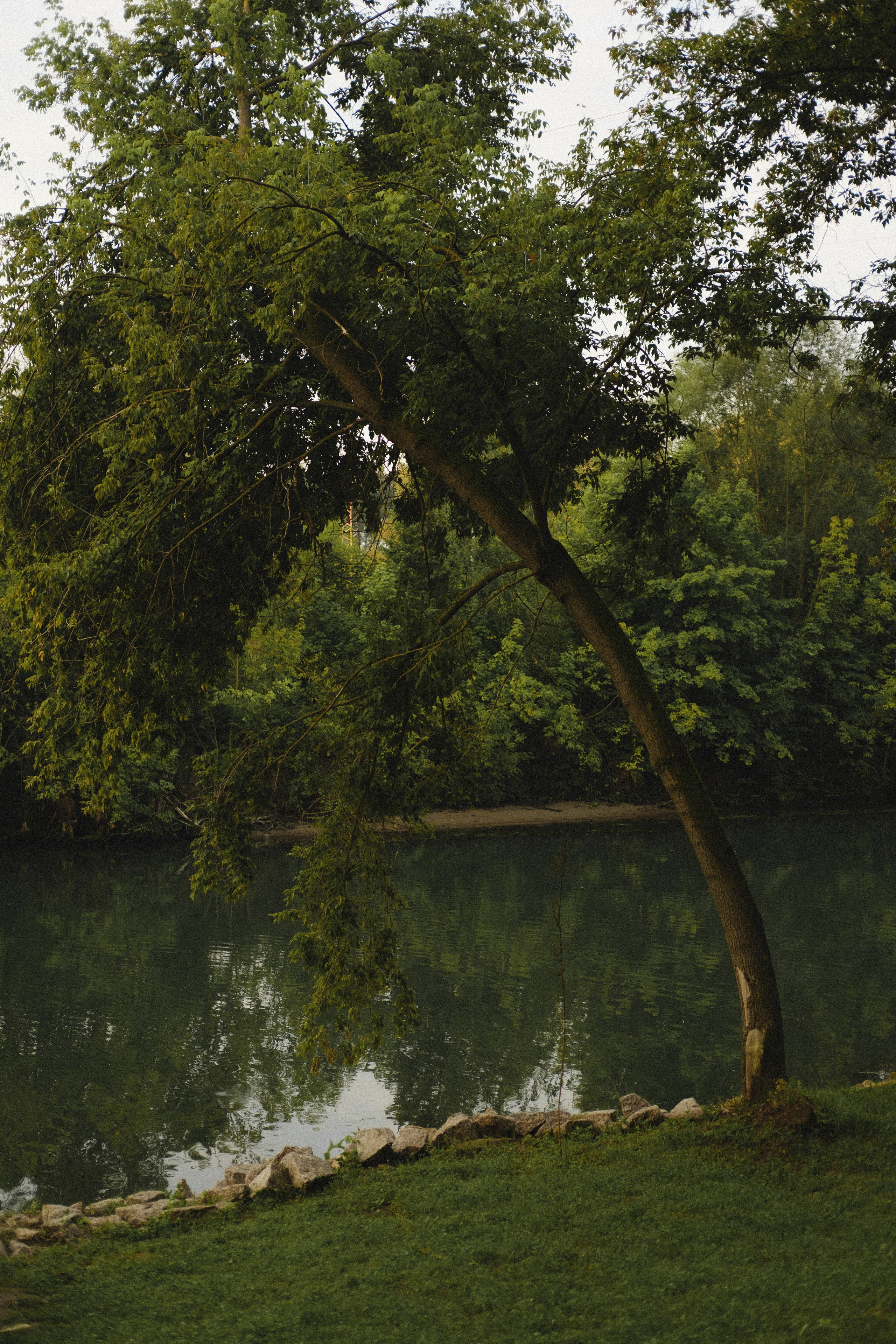 Женский портрет: Таня. Обо мне