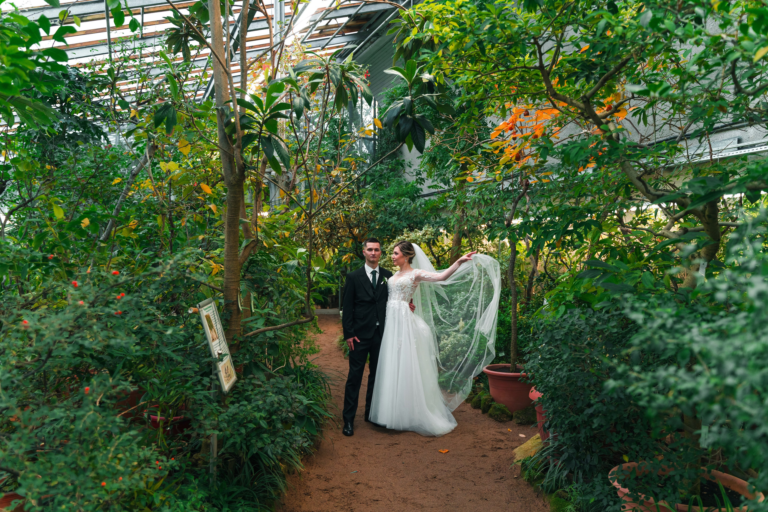 Евгений + Елена