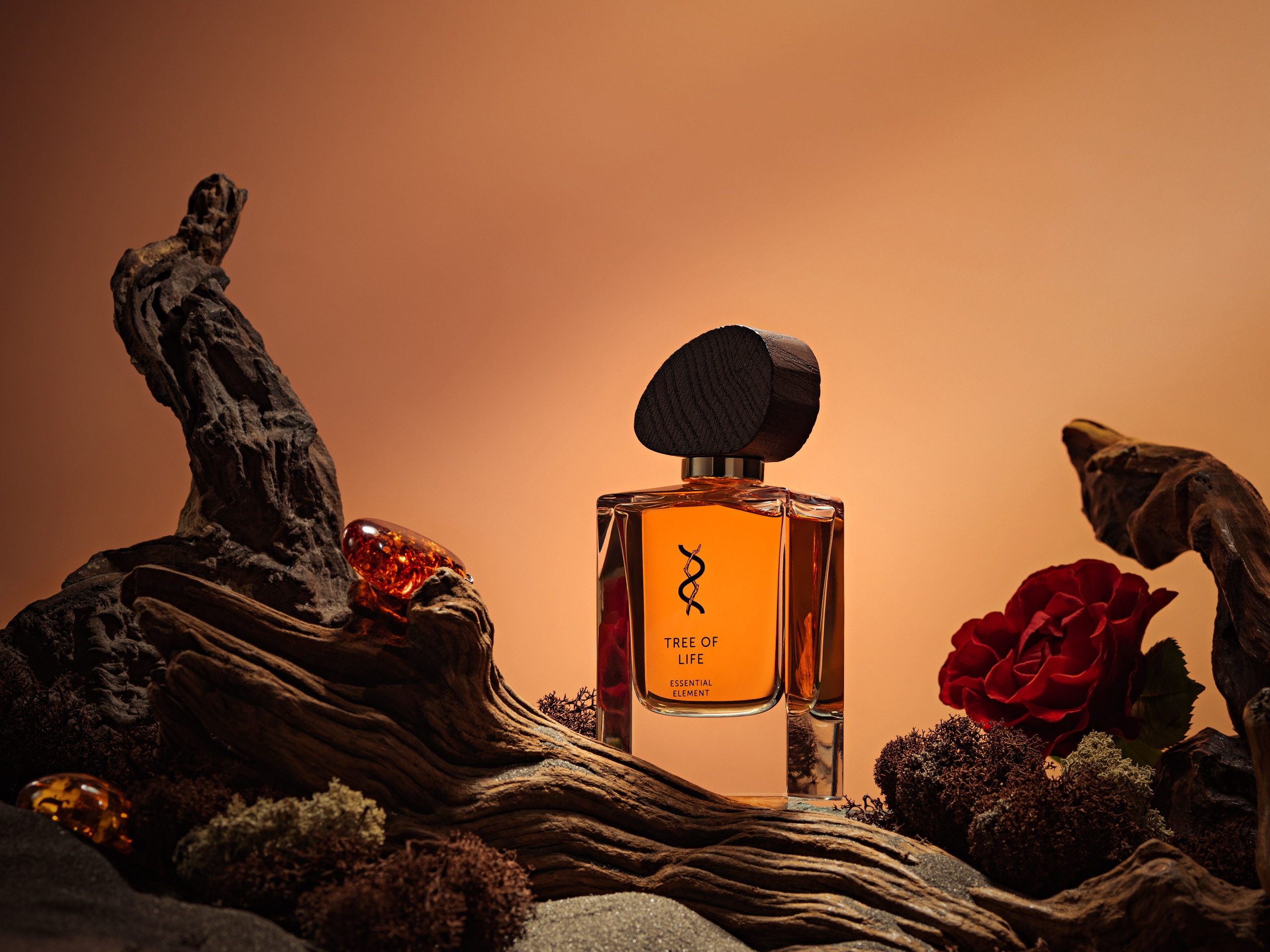 Set design. Асель Рембекова