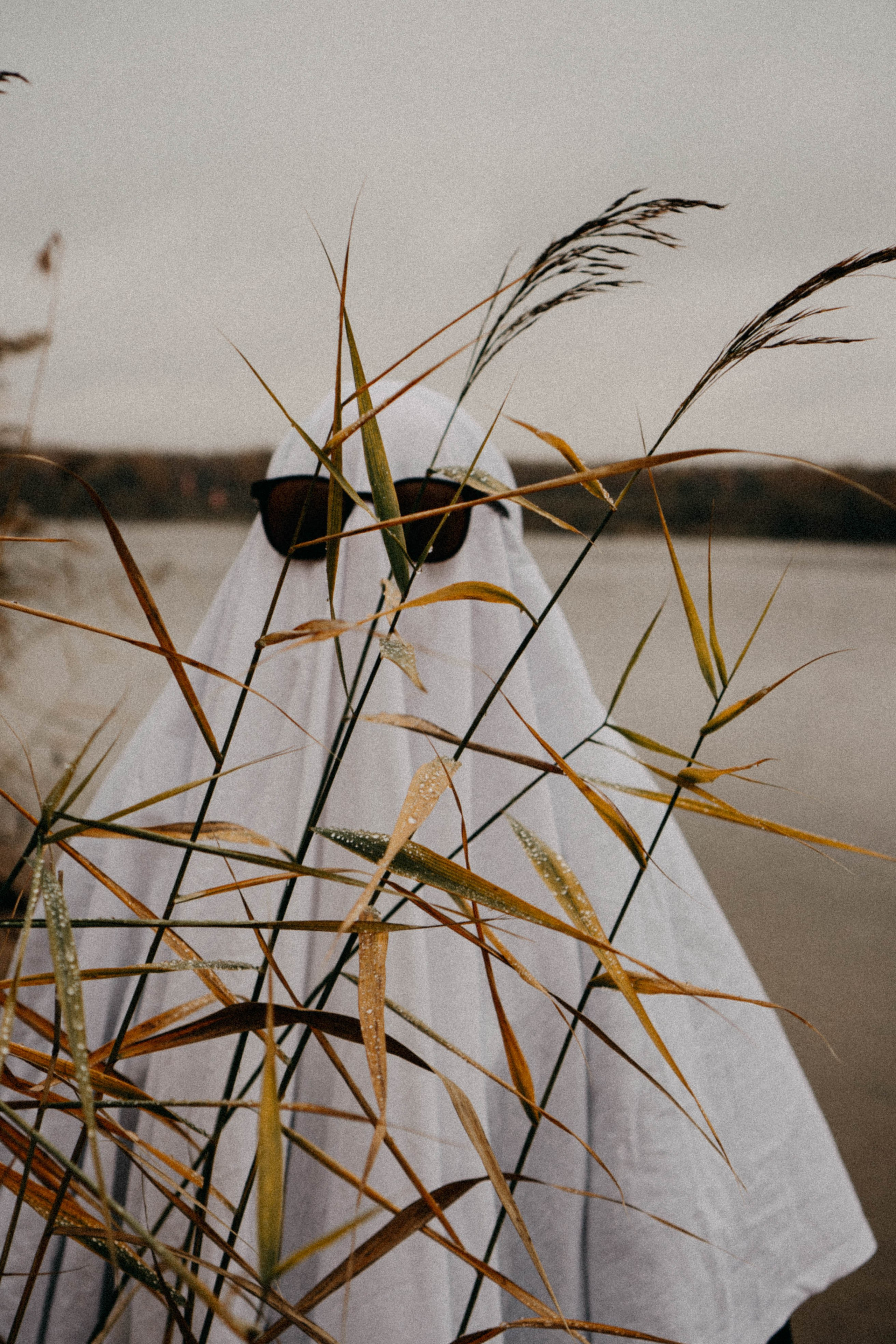 Осеняя. Профессиональный фотограф, Санкт-Петербург — Виктория Богомолова