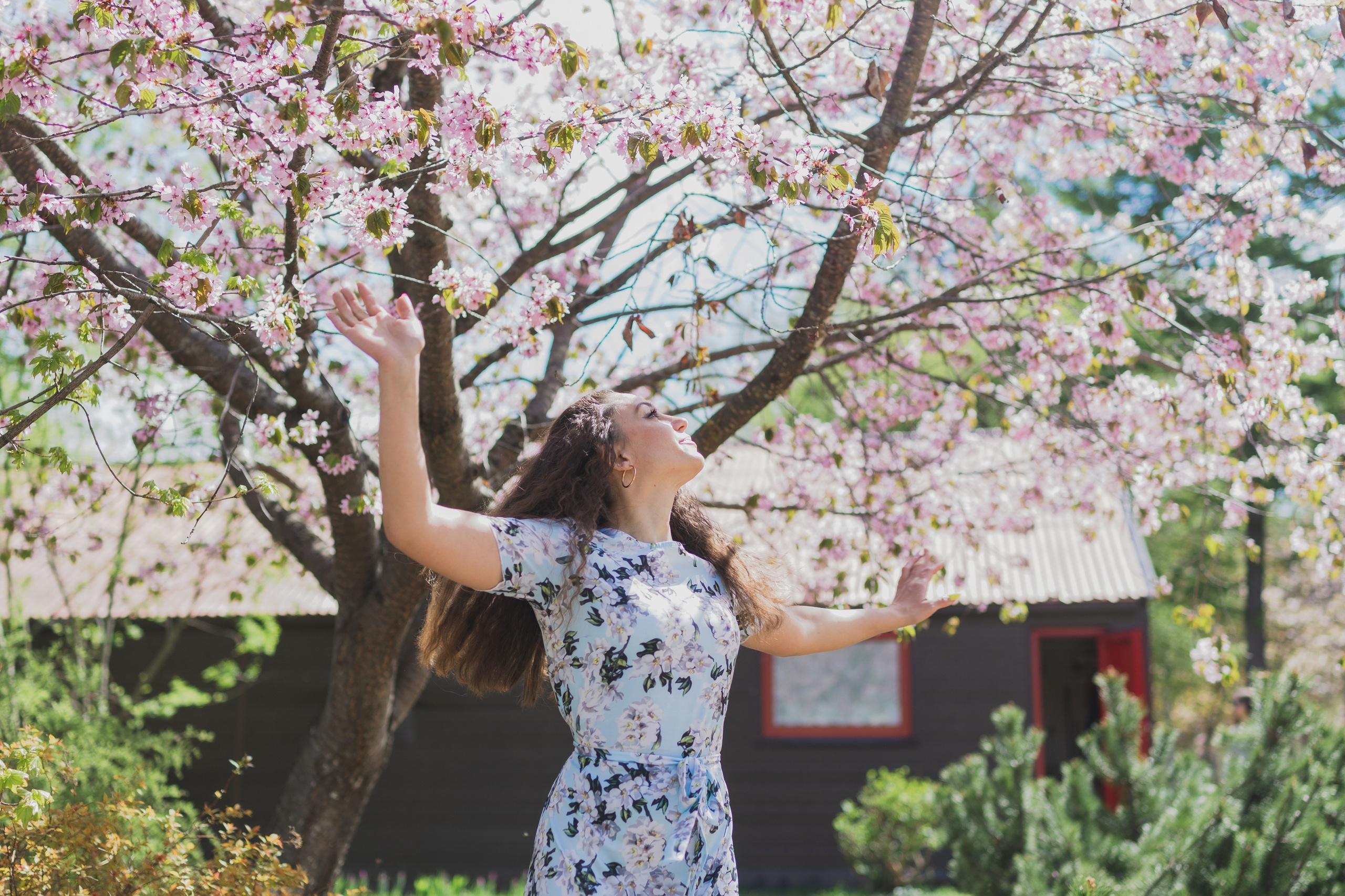 Настя и сакура. Фотограф Южно-Сахалинск