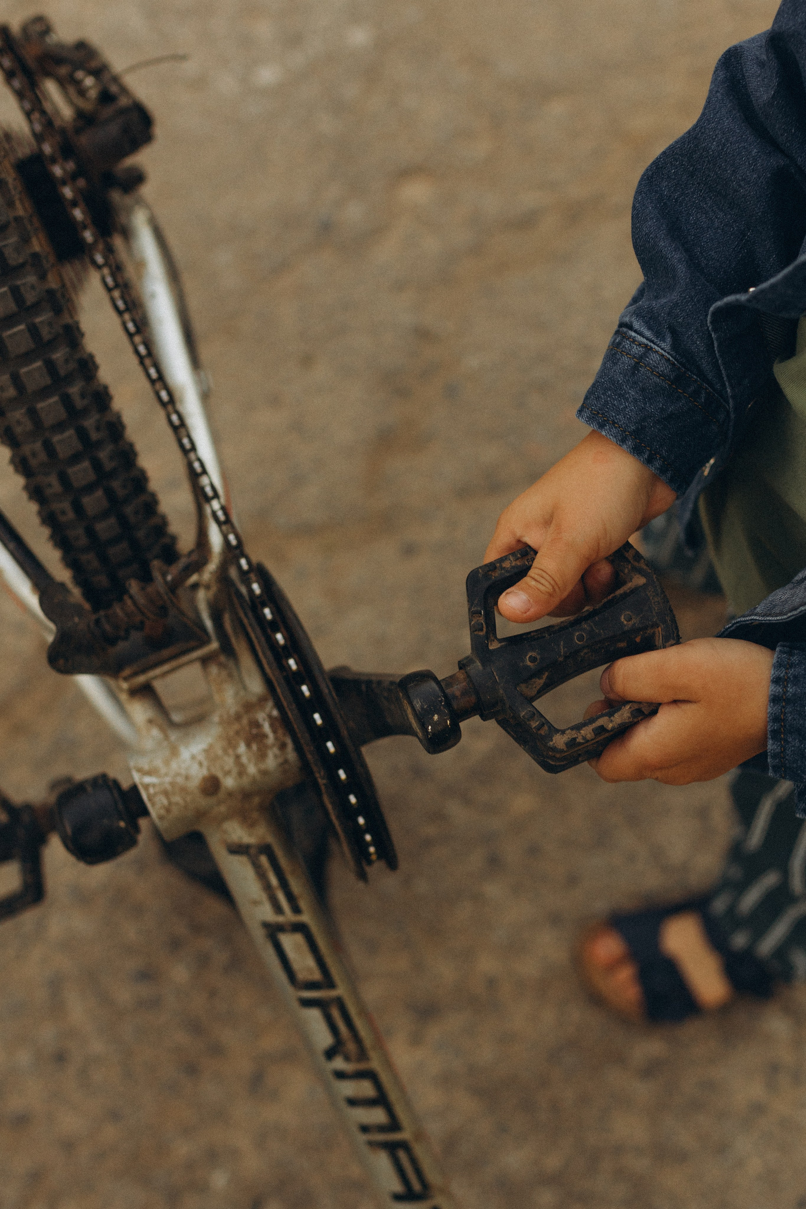 История одного букета. Семейный фотограф в Москве Жукова Анна
