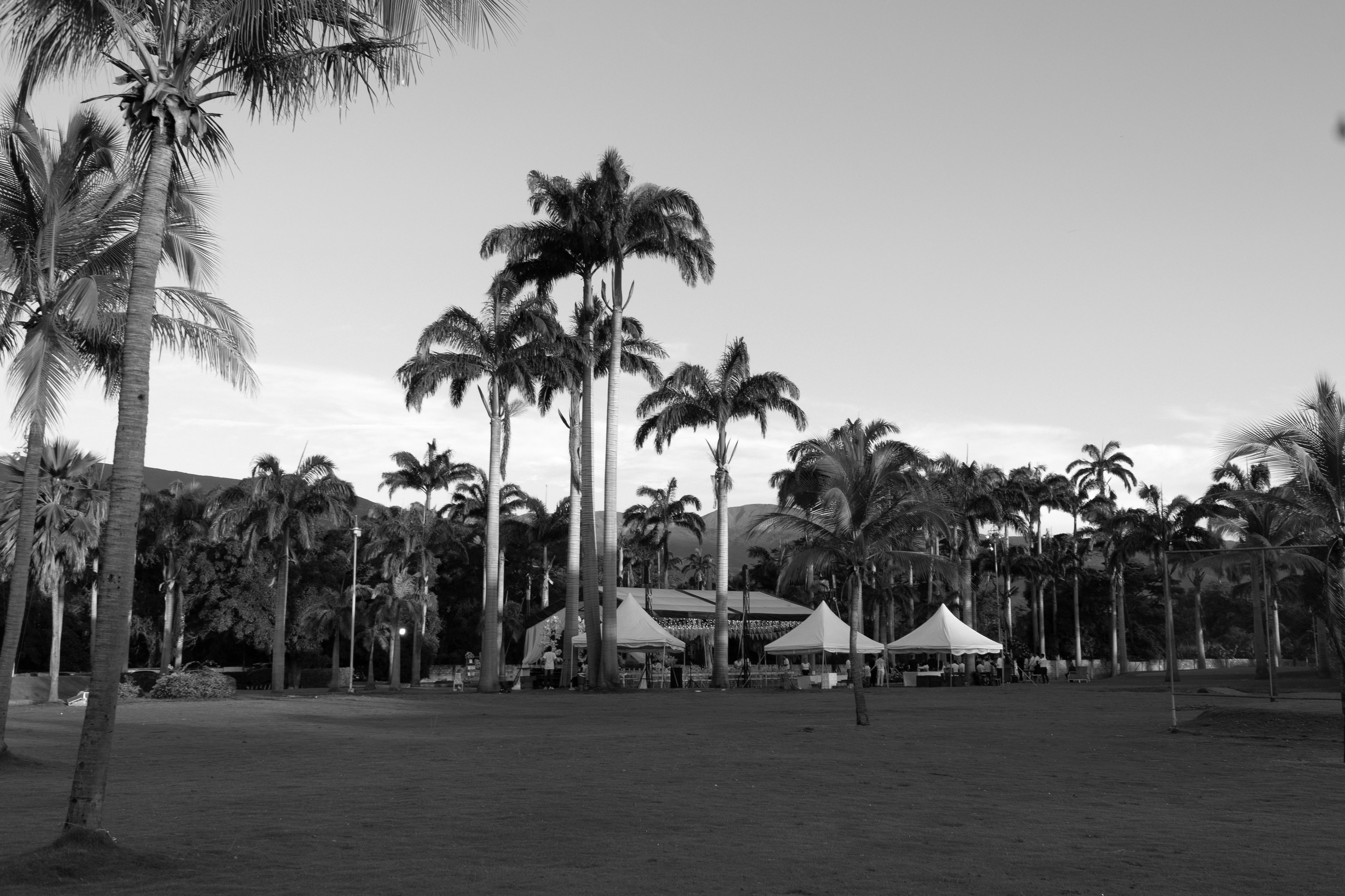 Carola & Gerson. Wedding Photographer in Barcelona and Medellin