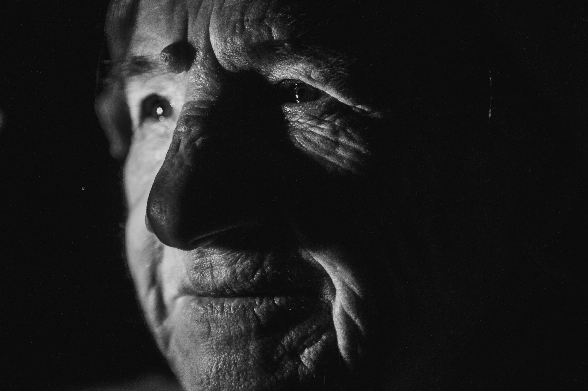 ПРОЕКТ: МОЯ БАБУШКА ХОЧЕТ УМЕРЕТЬ. Фотограф