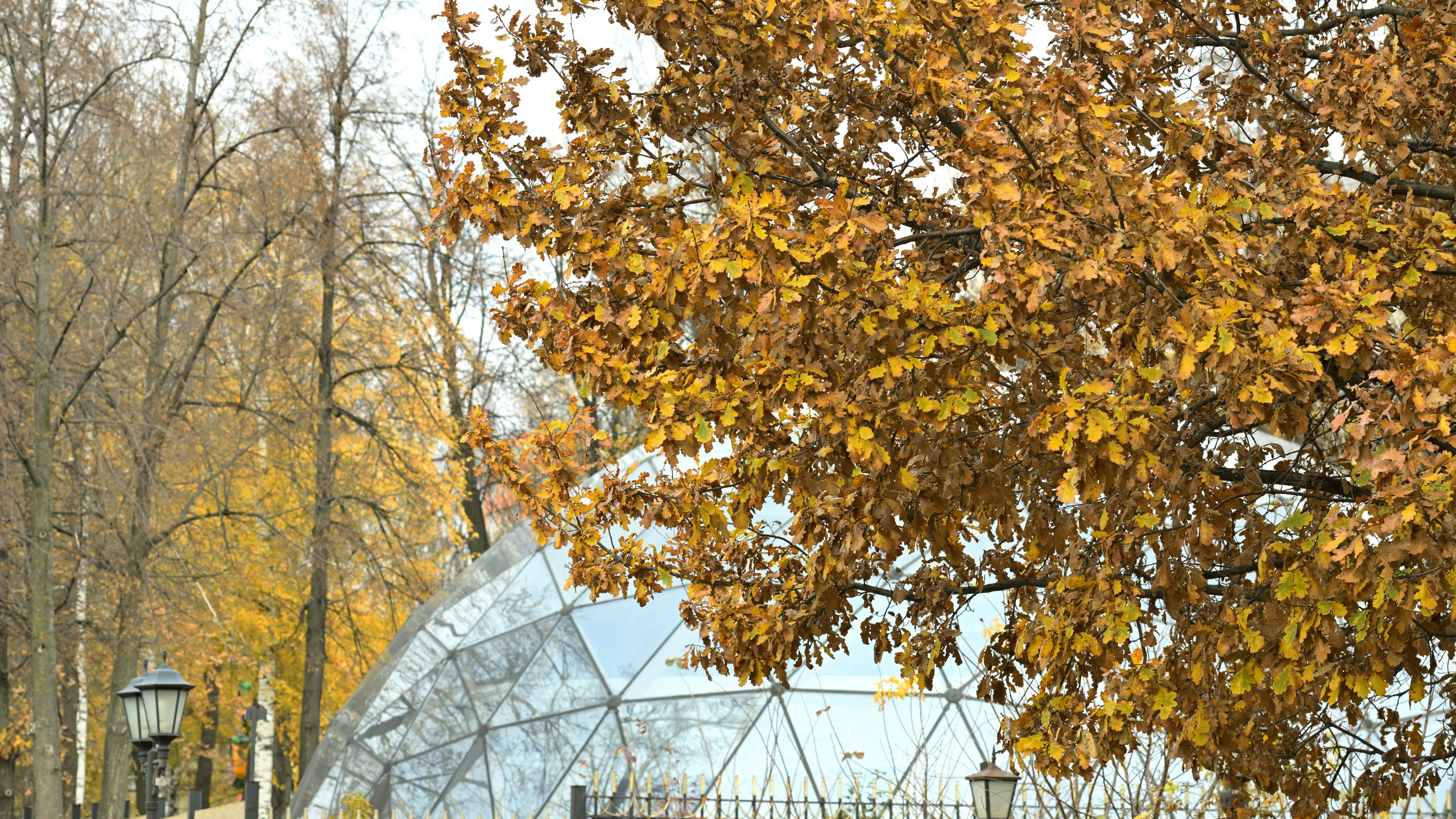 Ижевск. Сергей Люльченко фотоальбом