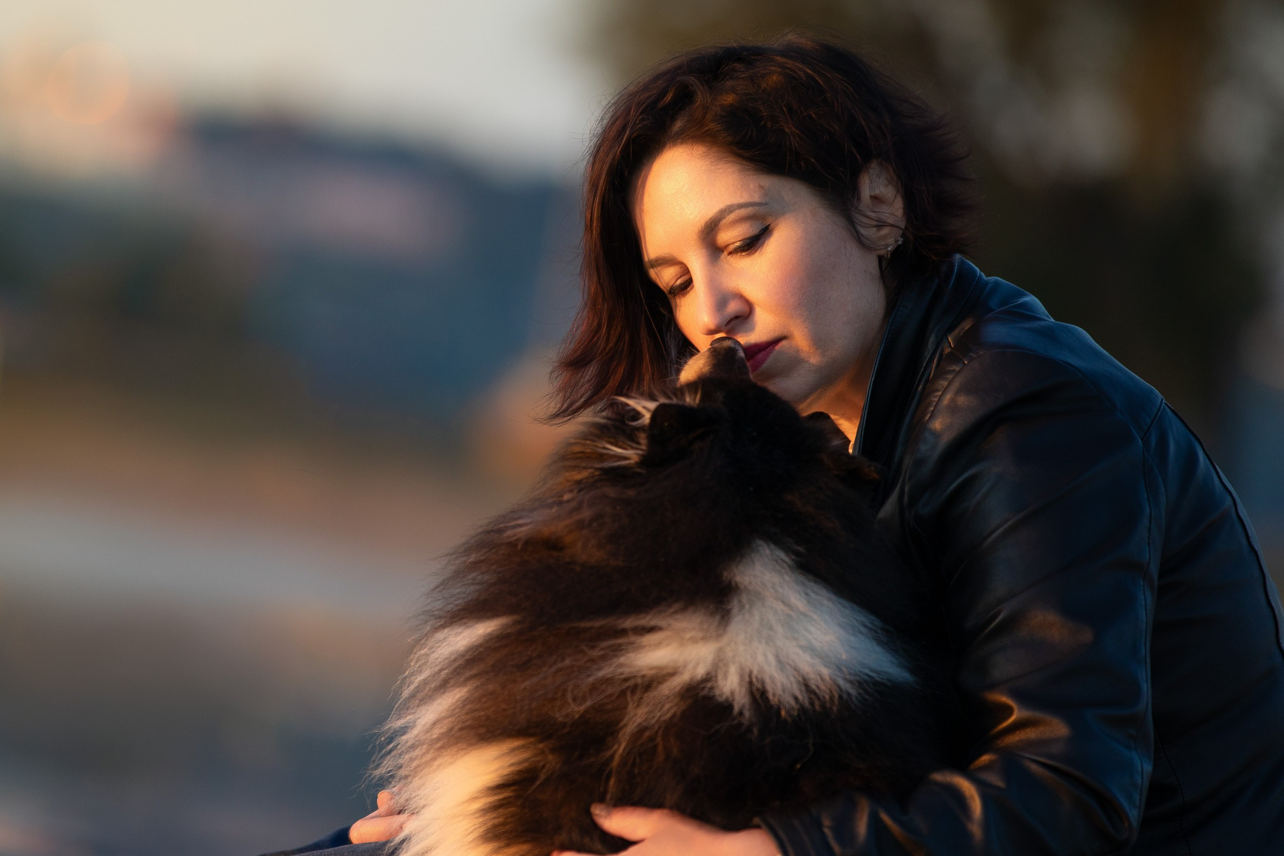 Съемка с шелти на рассвете на песчаном карьере. Фотограф-анималист в Москве и Московской области Татьяна Фролова