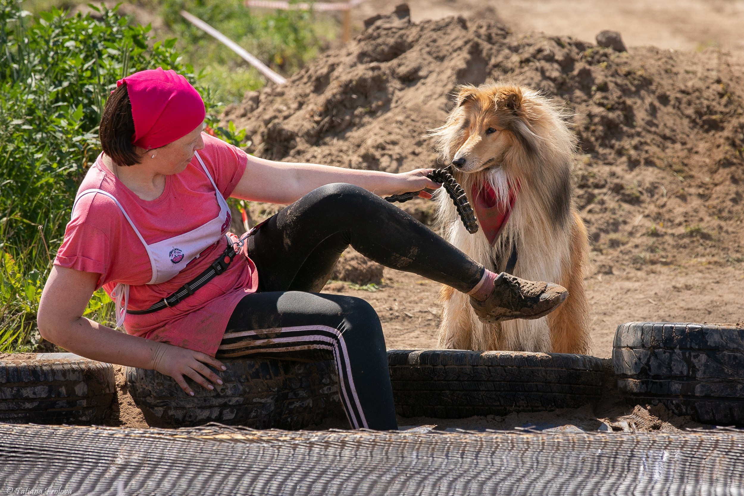 Фоторепортаж с забега с собаками. Фотограф-анималист в Москве и Московской области Татьяна Фролова