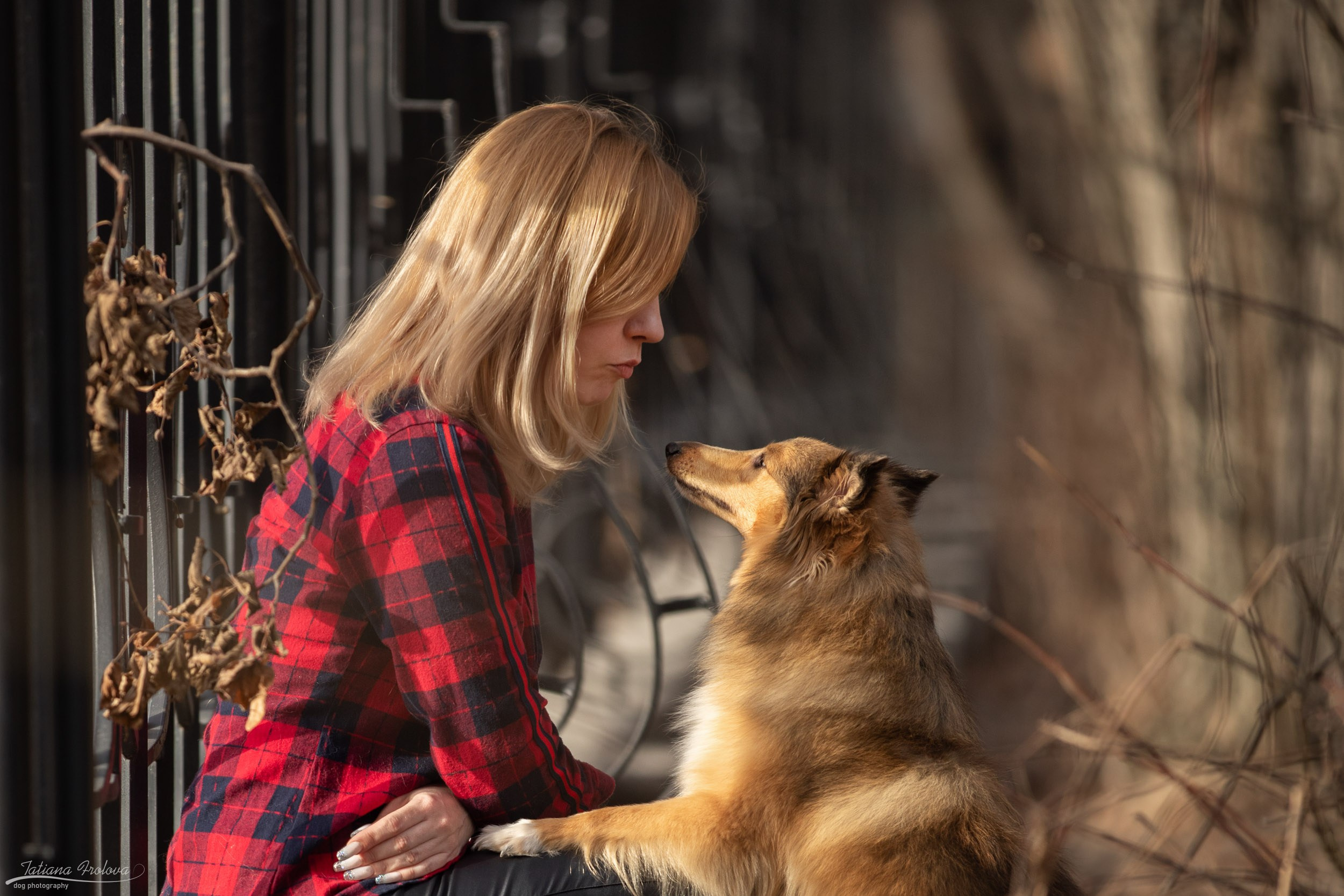 Фотопрогулка для шелти и её хозяйки в Ботаническом саду. Фотограф-анималист в Москве и Московской области Татьяна Фролова