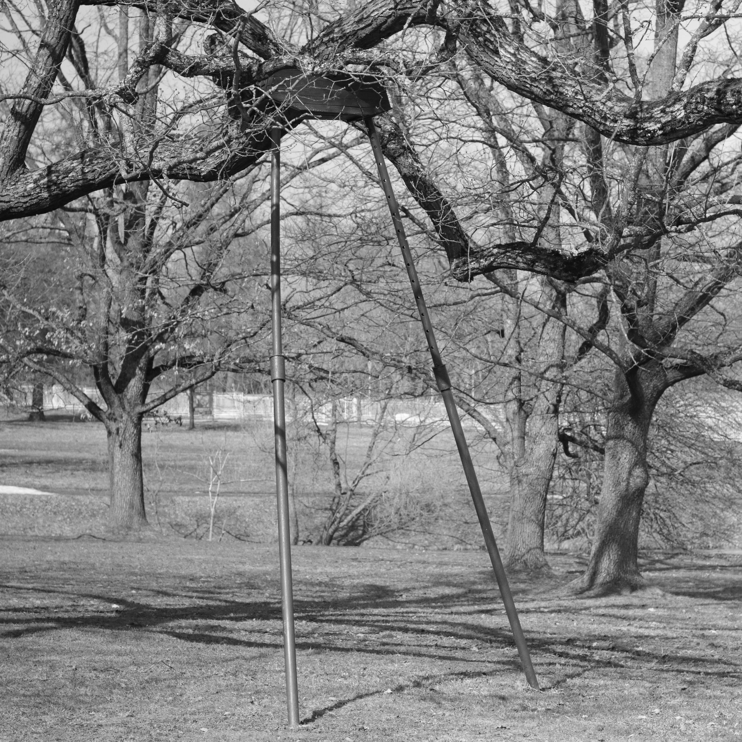 Tsarskoe Selo. Фотограф и исследователь фотографии из Санкт-Петербурга Елизавета Веприцкая