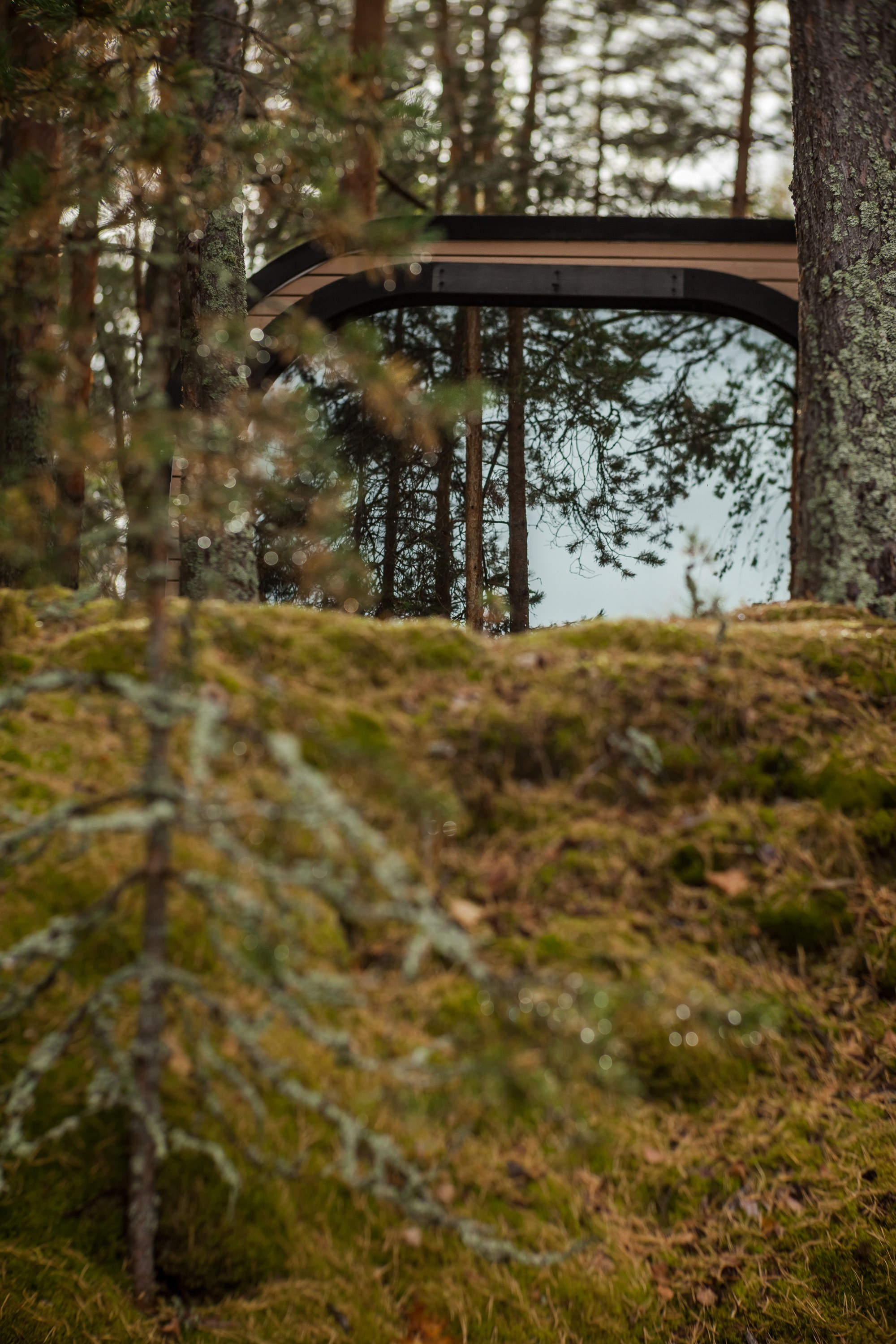 Остров «Свободы». Туманов Виталий — фотограф Москва