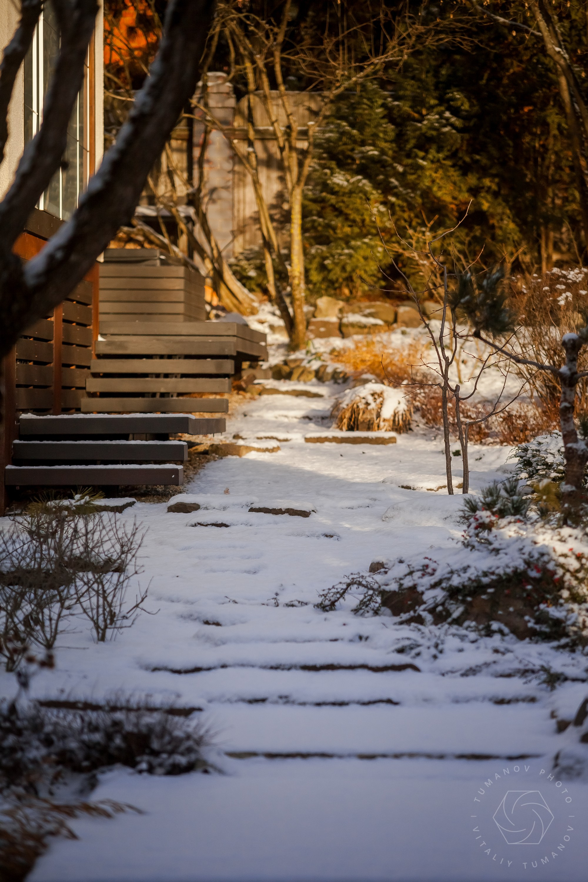 Спящий сад, Елены Асташкиной. Туманов Виталий — фотограф Москва