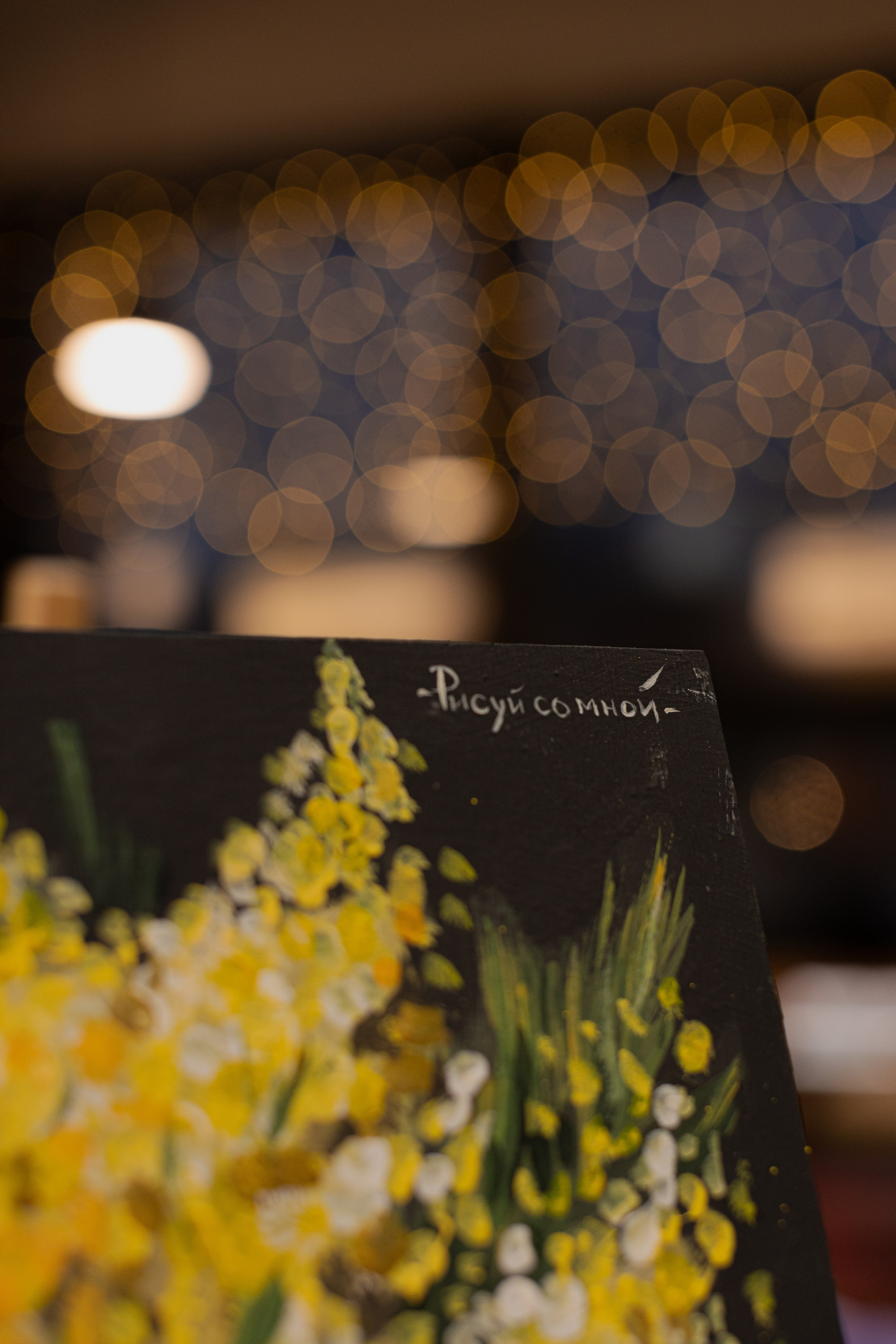 МК Мимоза. Анастасия Ракчеева Художник