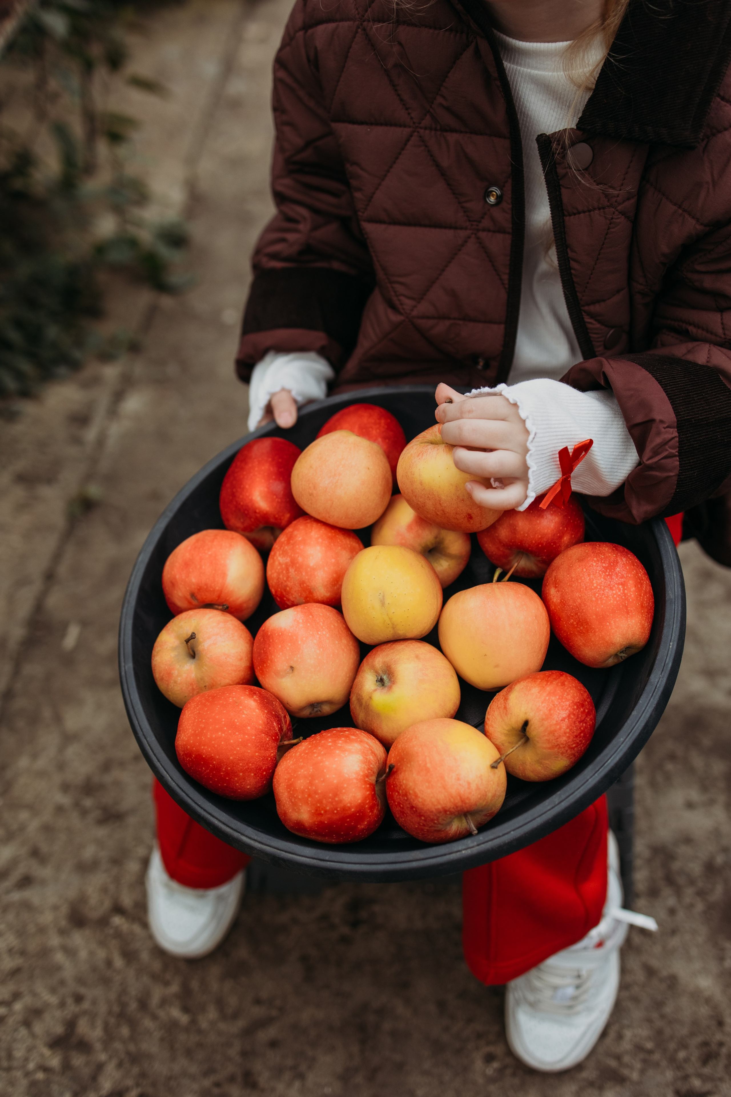 Теплица мацеста. Фотограф Сочи Татьяна Зорина