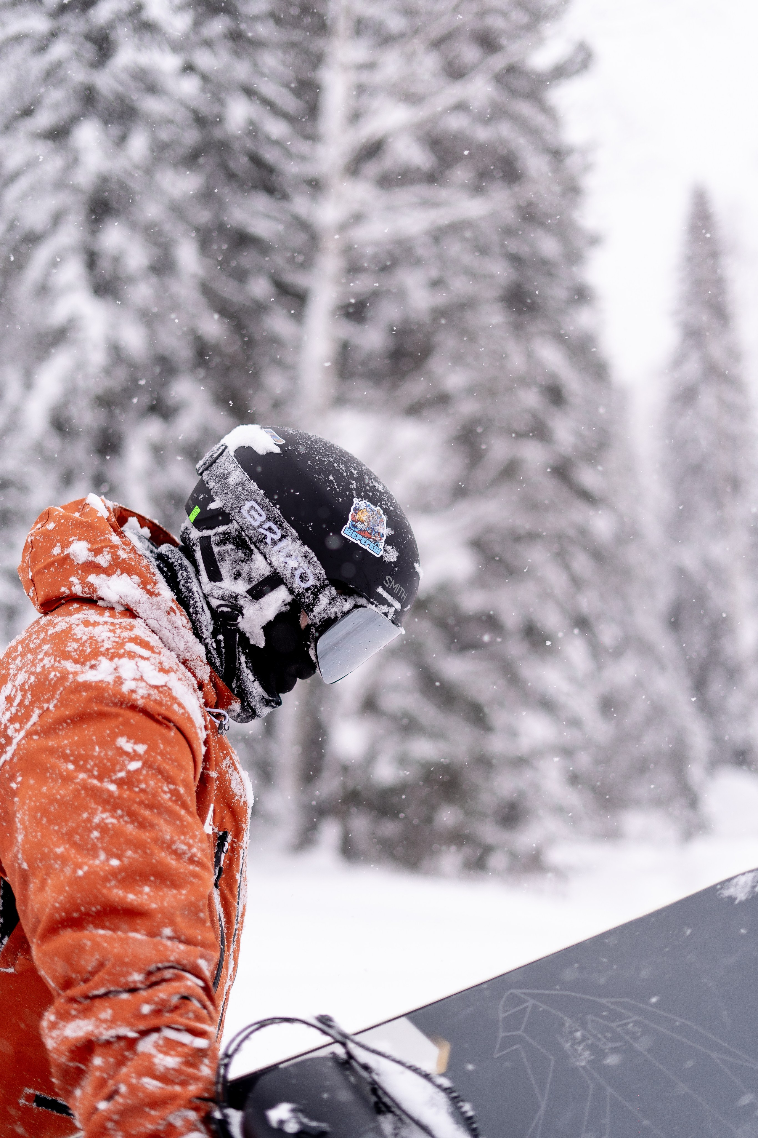 Джон 14.02. Анастасия Паршукова — фотограф Шерегеш Новосибирск