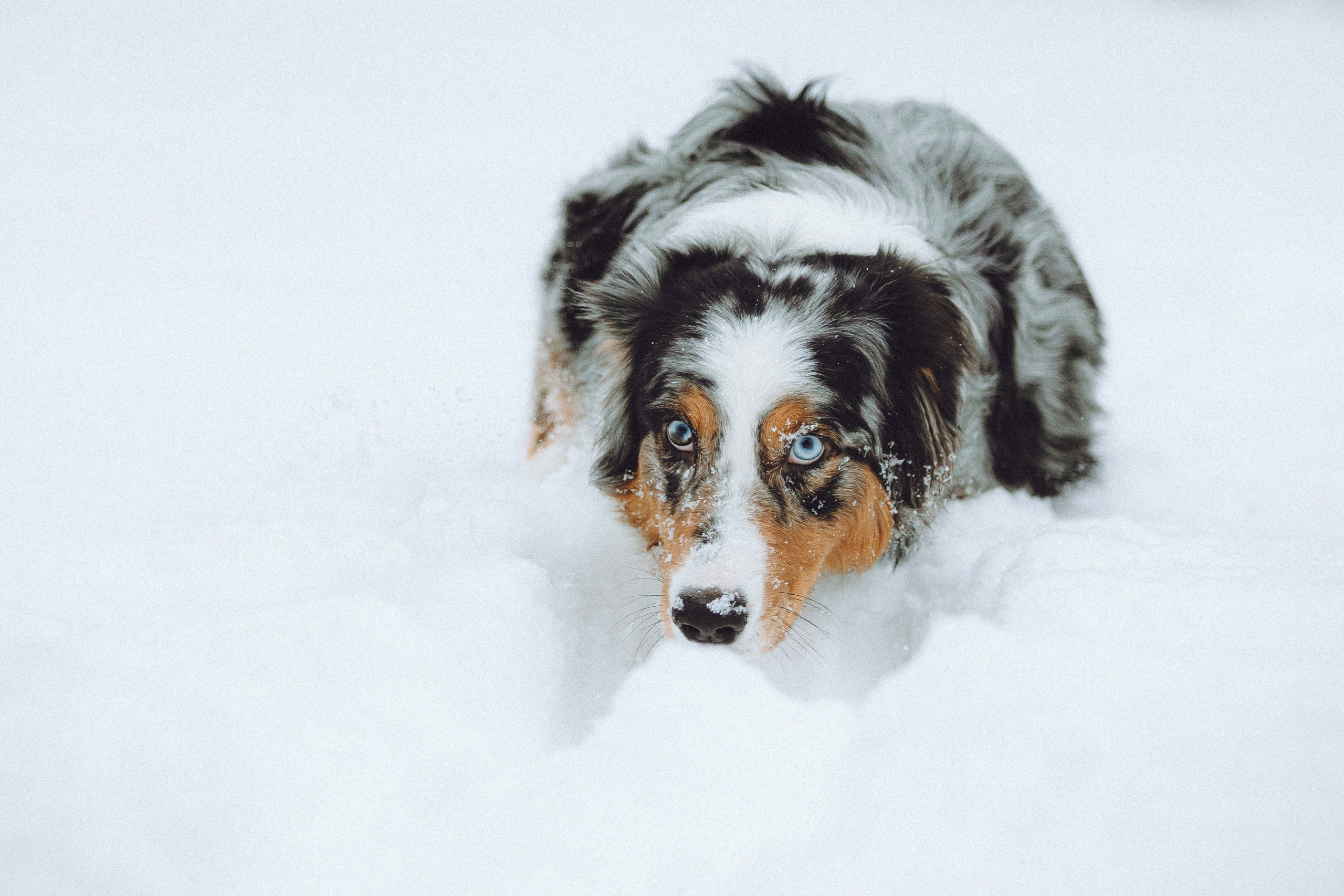 Фаня и ее семья