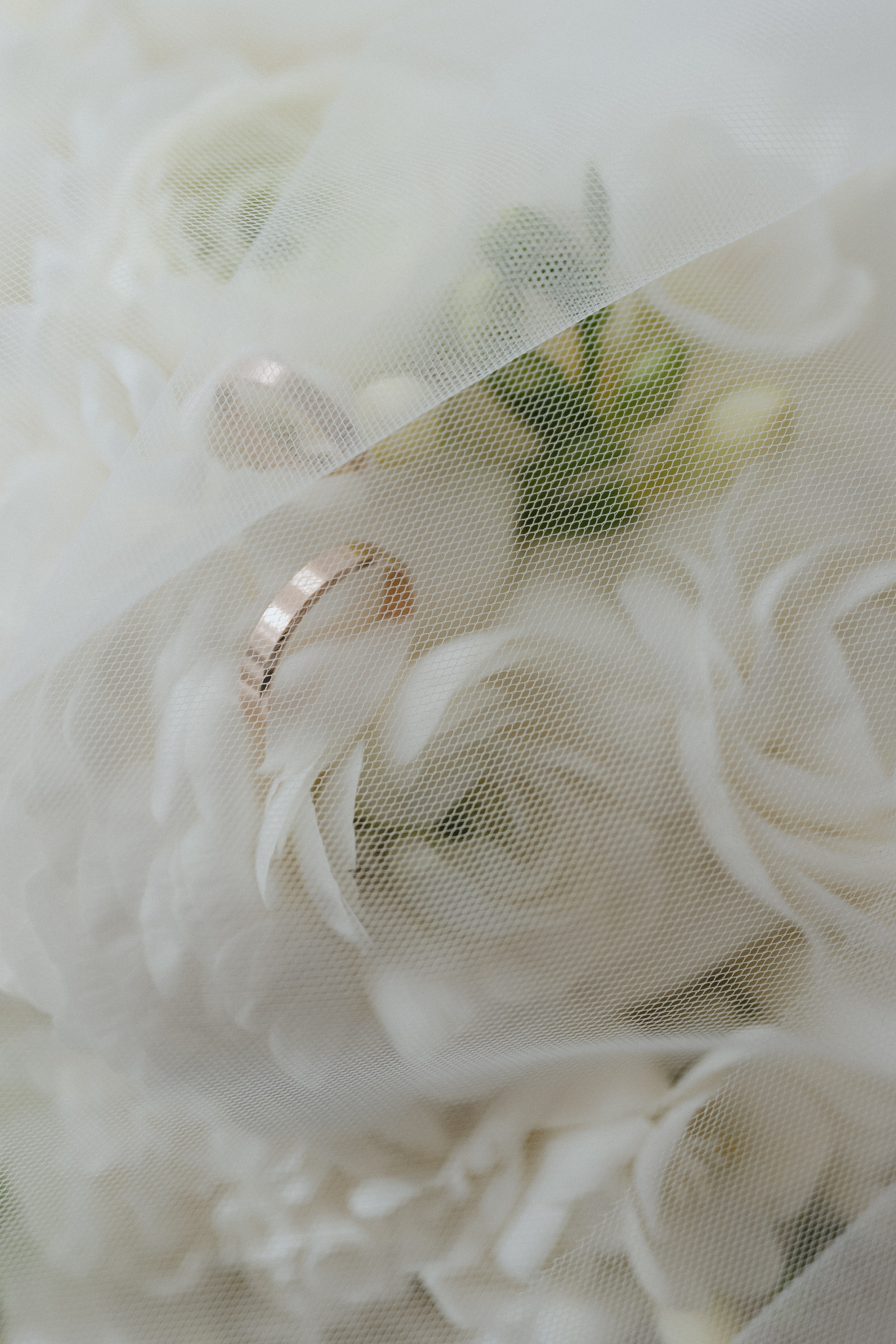 Татьяна & Данил, Сосновый бор