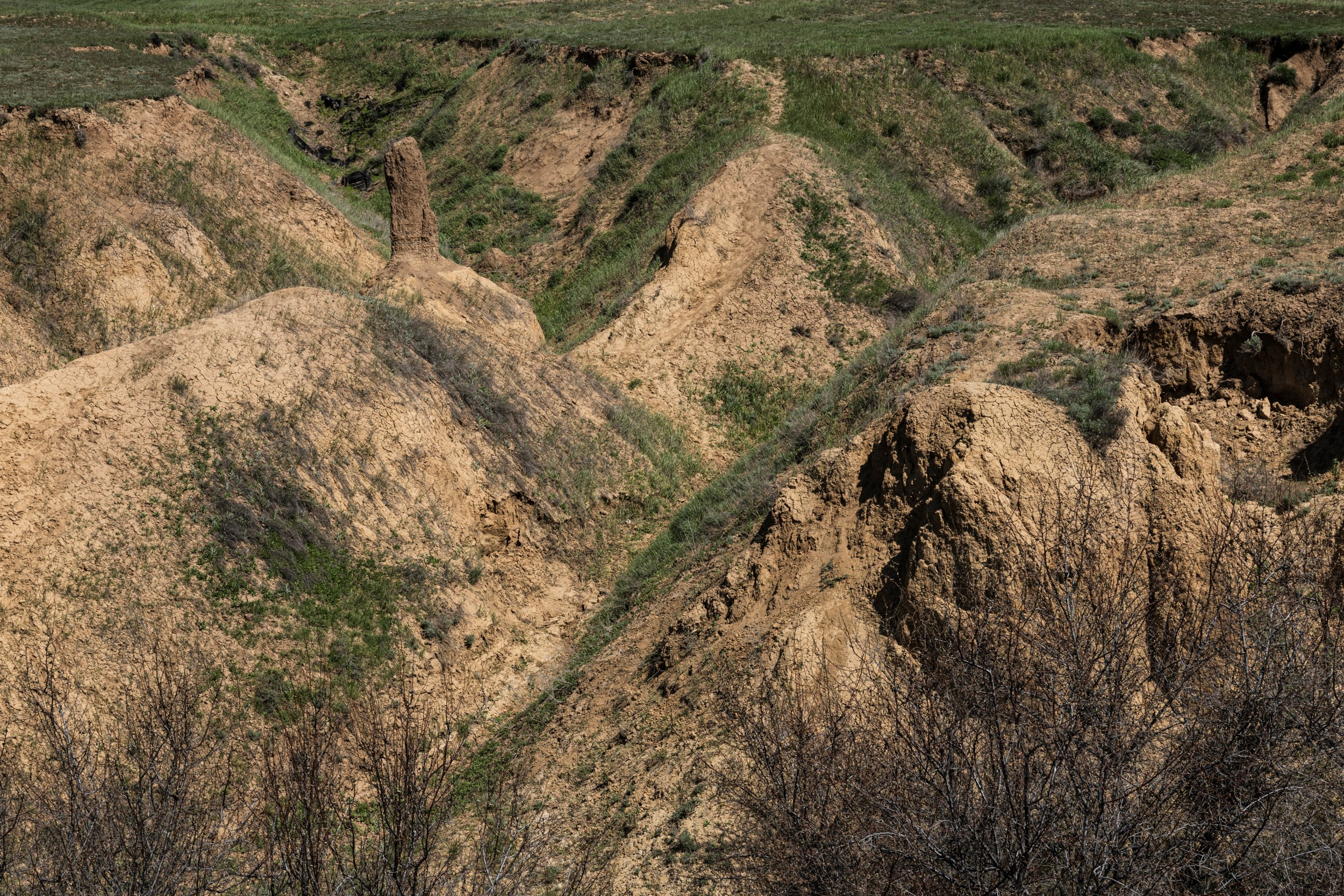 Фотография Корчагиной Татьяны Романовны. Эльтон. Степь, балка в степи, холмы с фактурными обрывистыми песчаными стенами, частично покрытыми зеленой травой. #phototerra_info