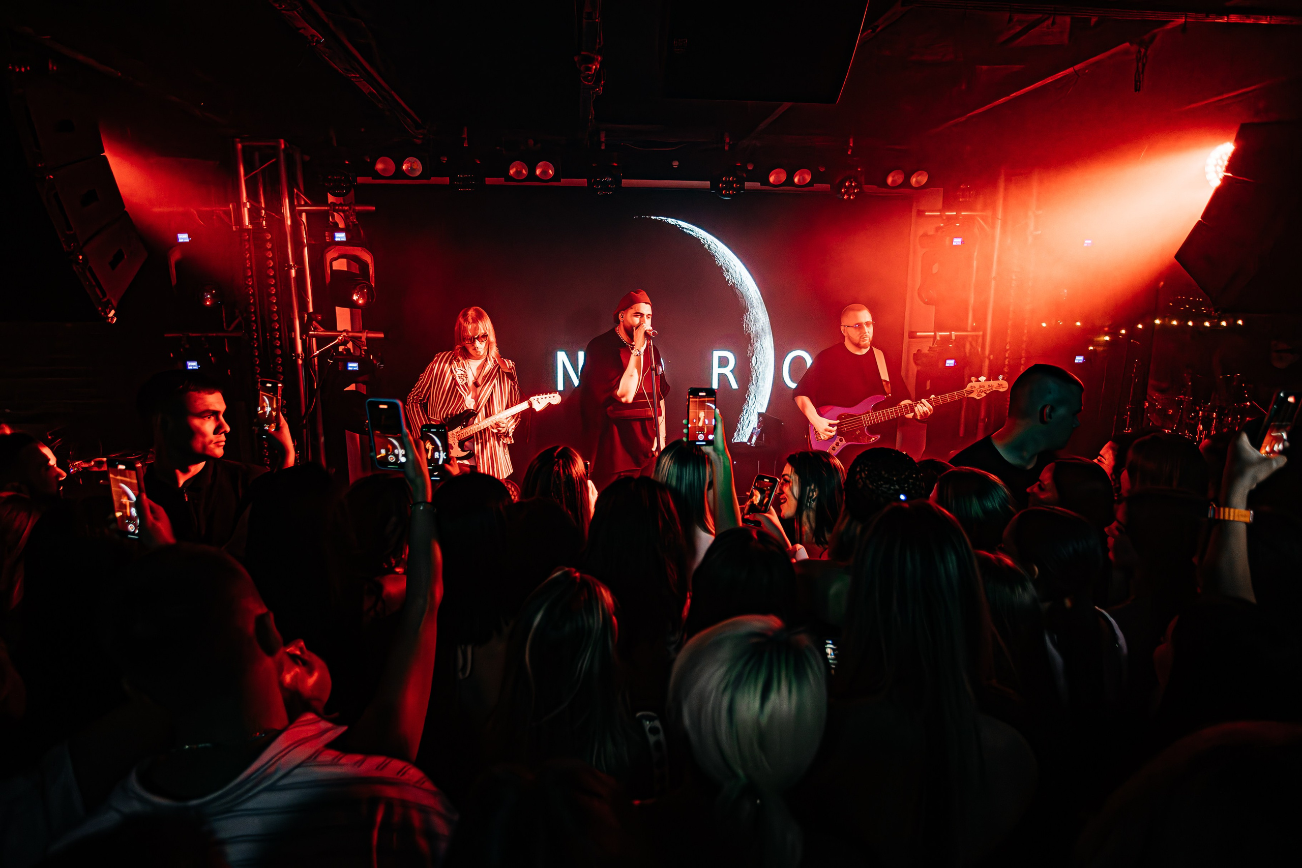 Чайка_на_пляже_Андро_Ялта_24.08.2024. Аминов Руслан | Фотограф