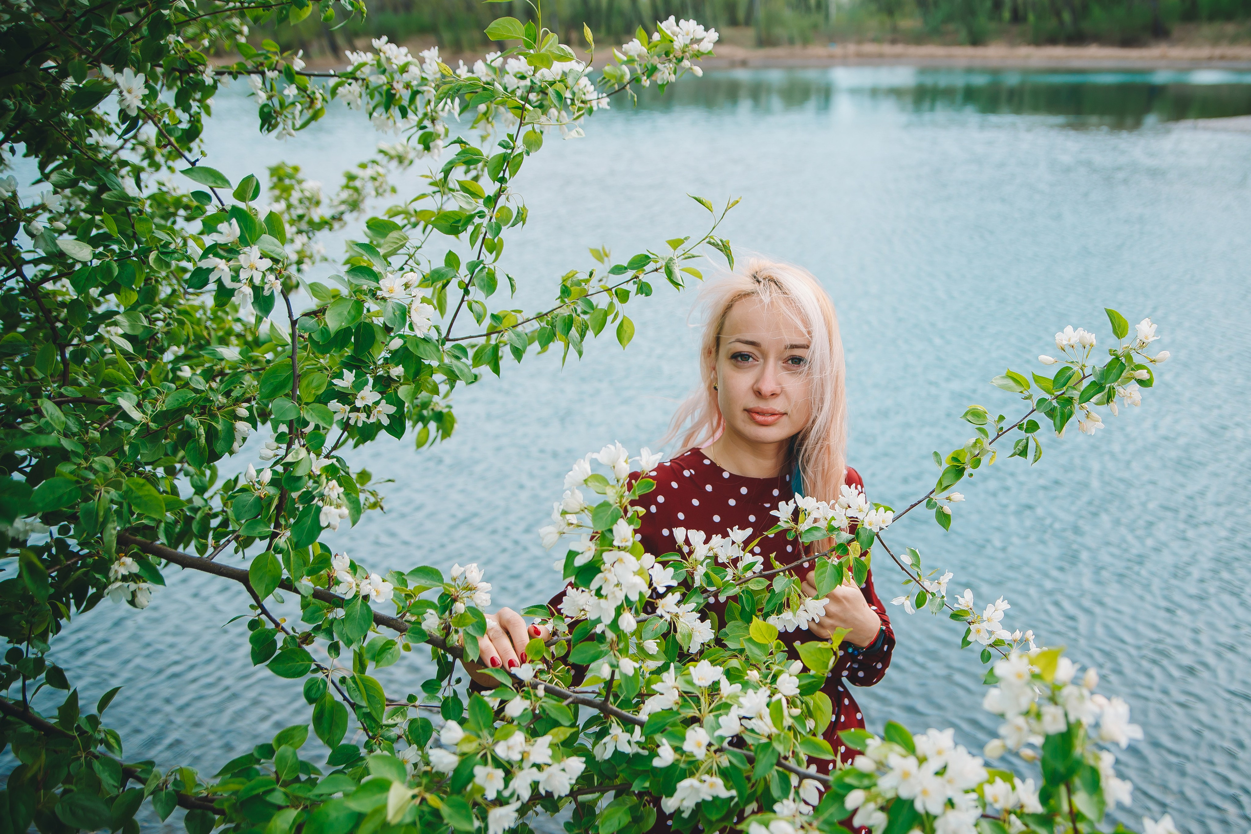 Яблони. Фотограф в Абакане Николай Окунев