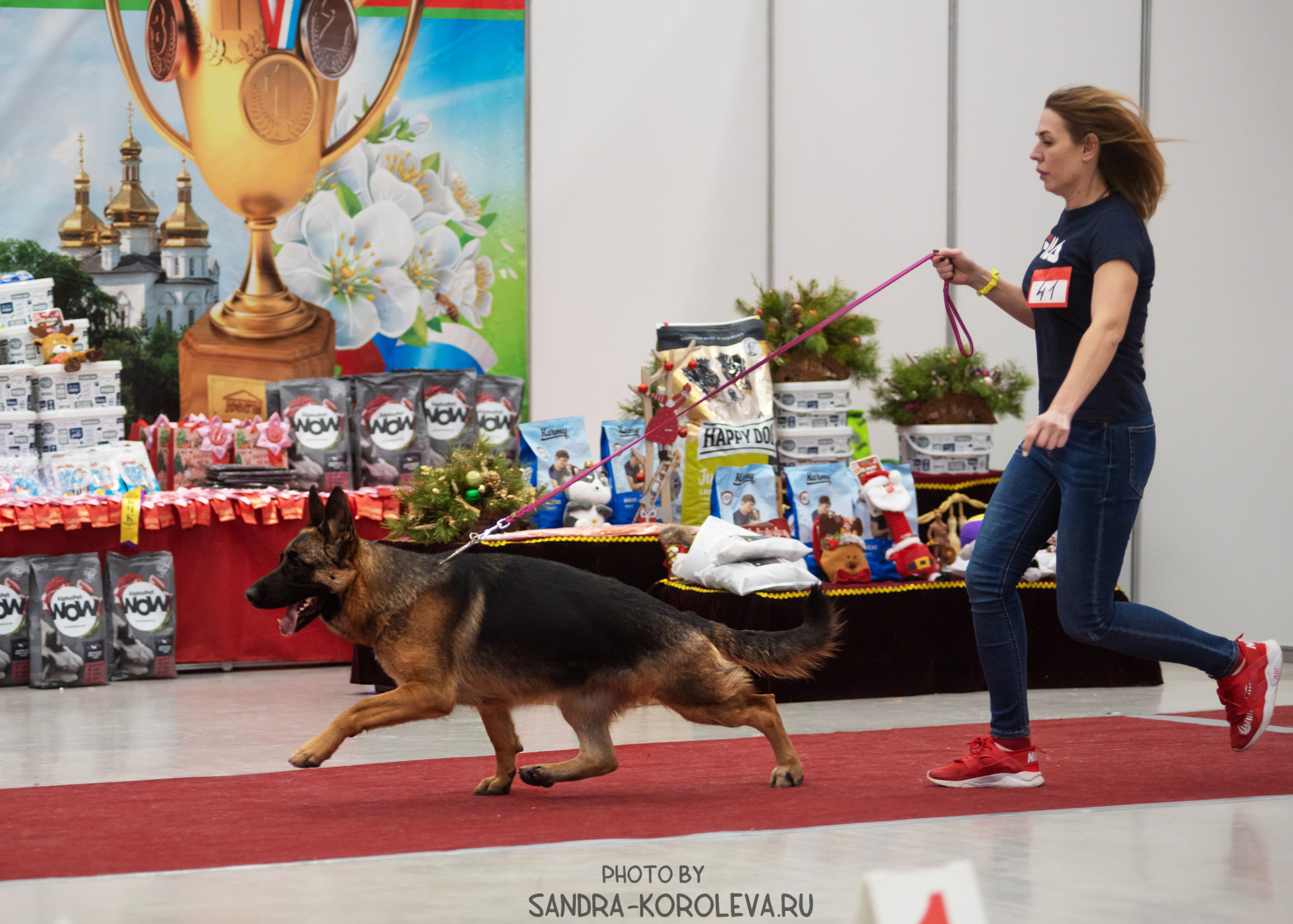 Выставка собак тюмень 10.12.2022. Дог-фотограф в Тюмени Александра Королева