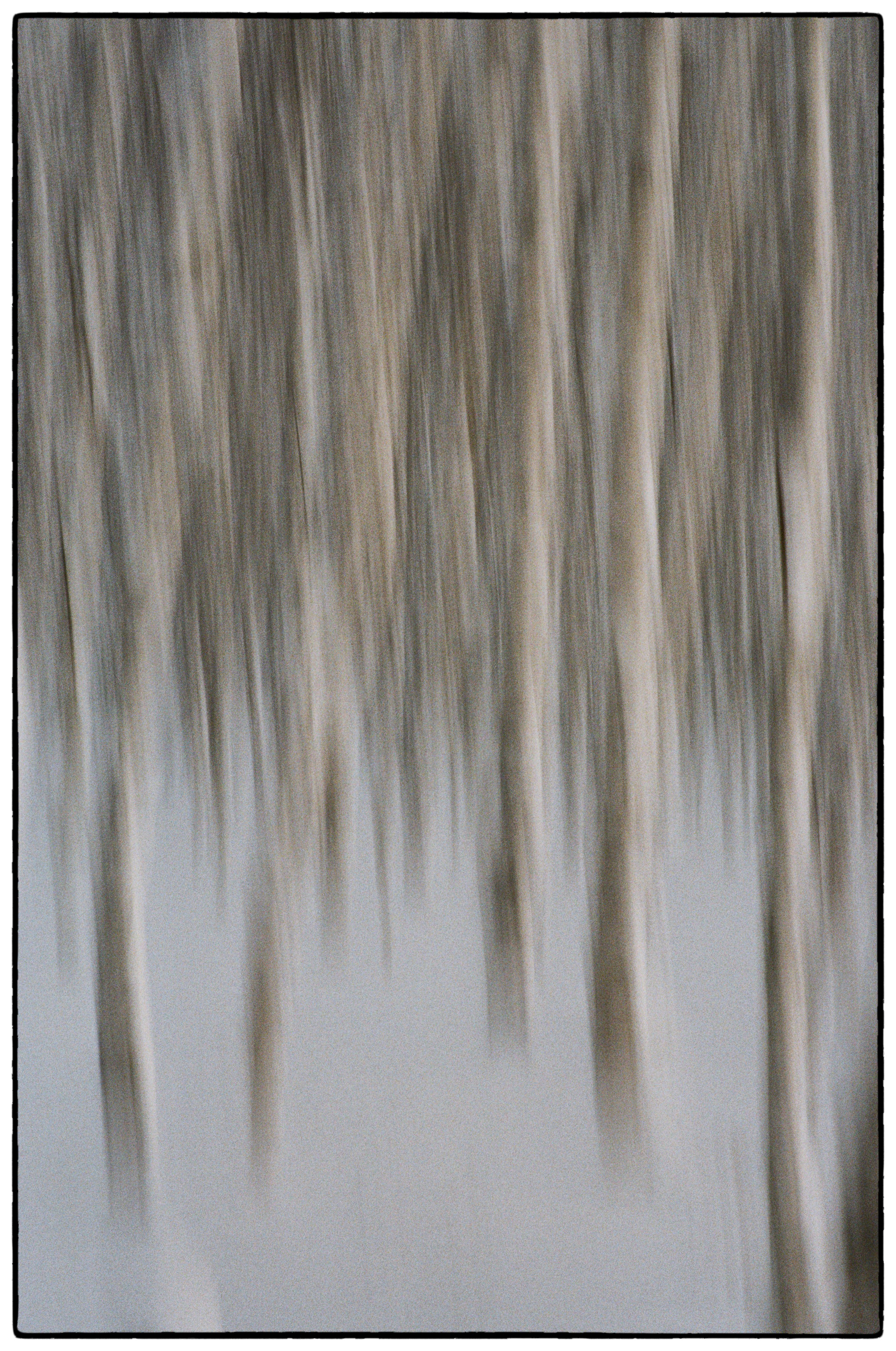 Зимнее. Фотограф Филякин Константин