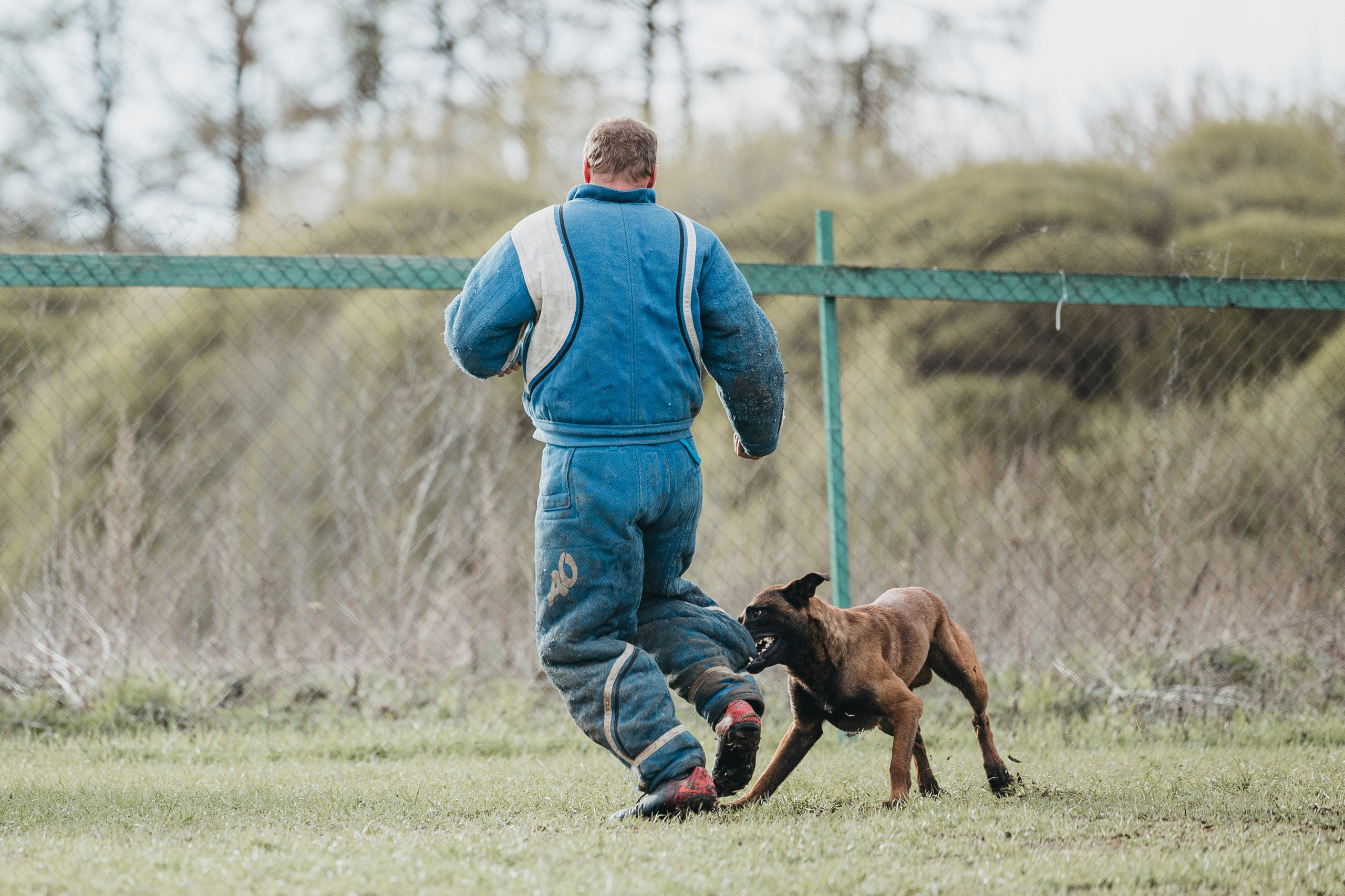 09.05.25 Вологда соревнования. Фотограф-анималист Анна Маринич