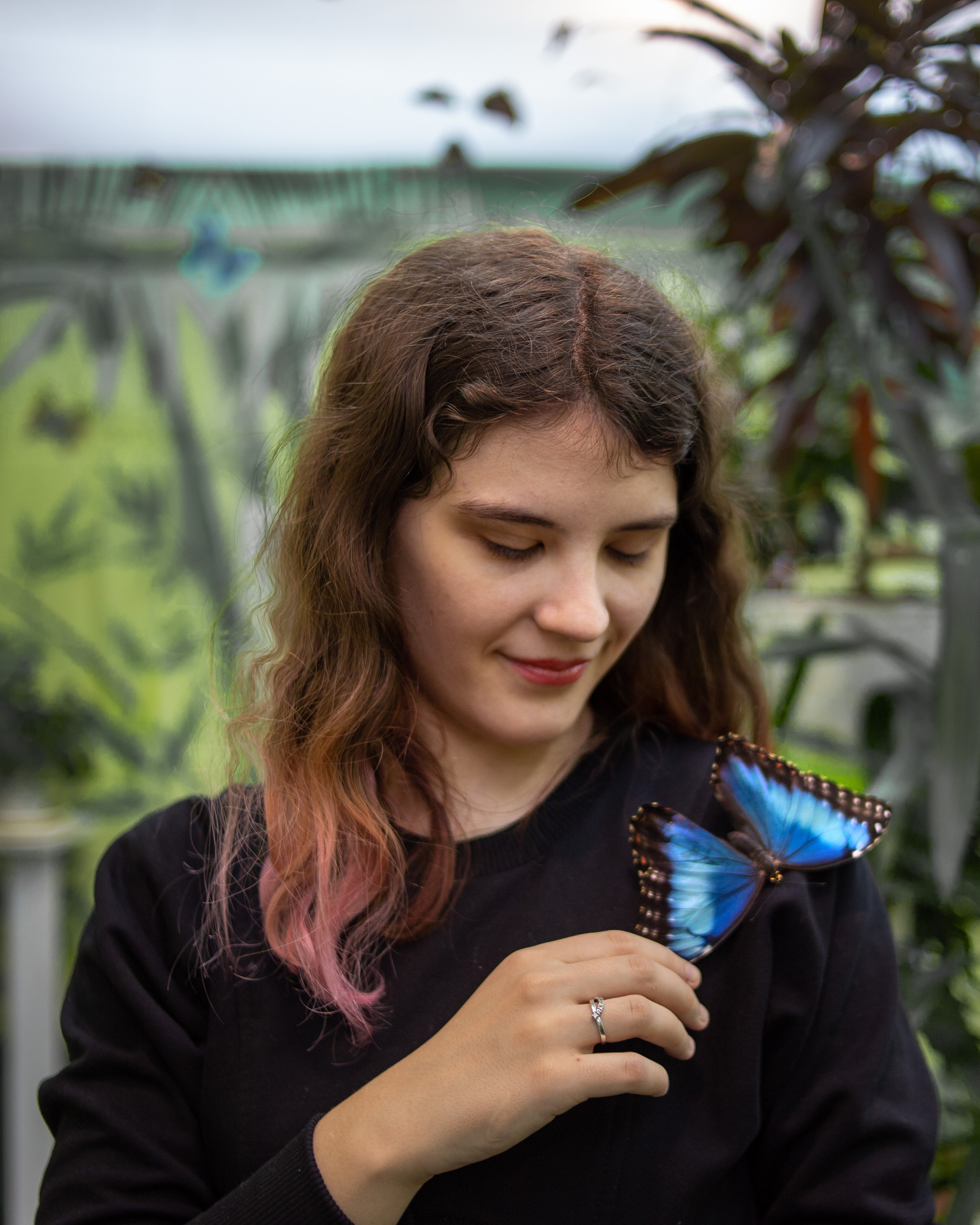 Экзотические бабочки в Минске. Фотограф в Минске Екатерина Тузова