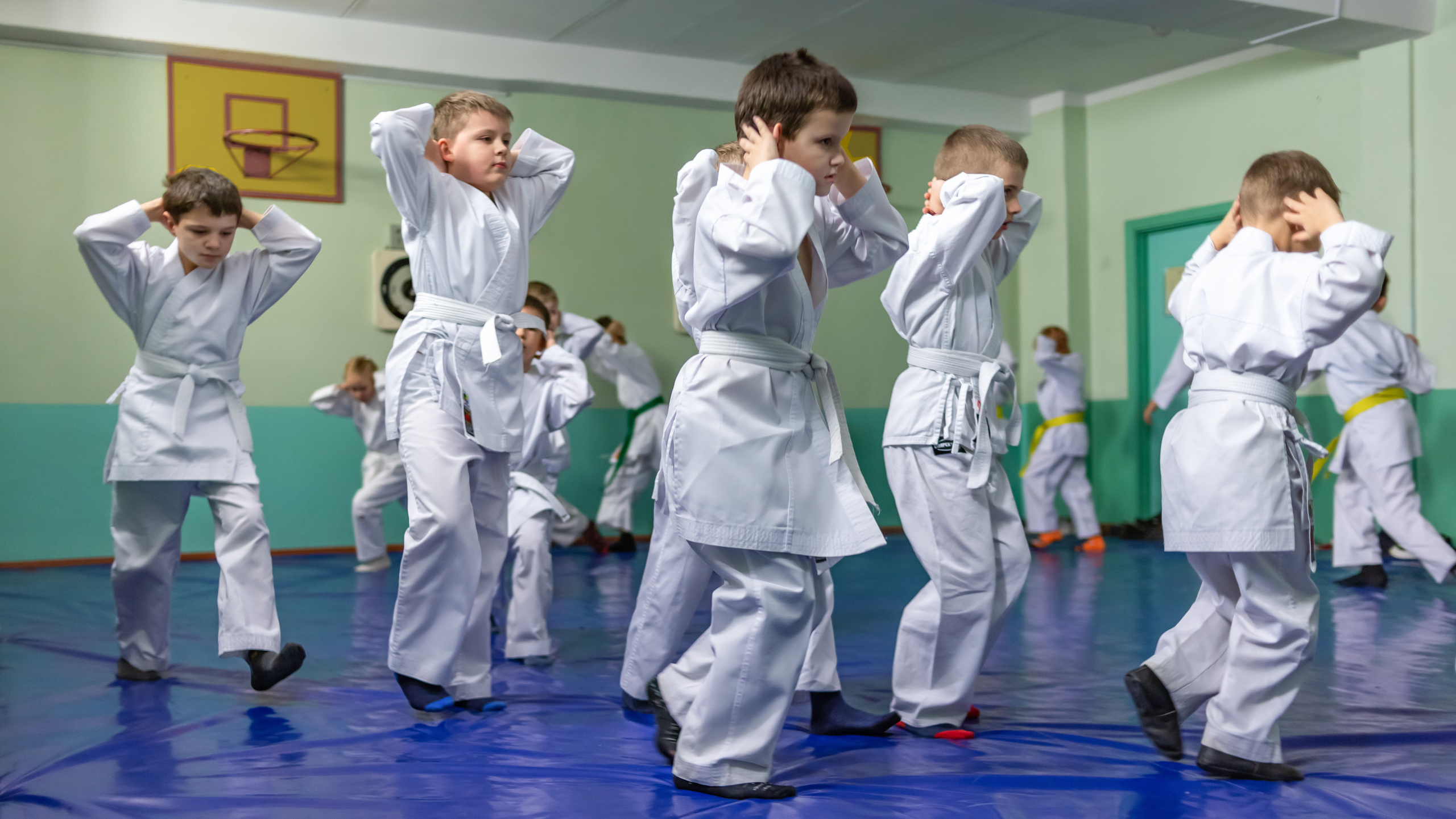 Каратэ, СШ 191. Фотограф в Минске Екатерина Тузова