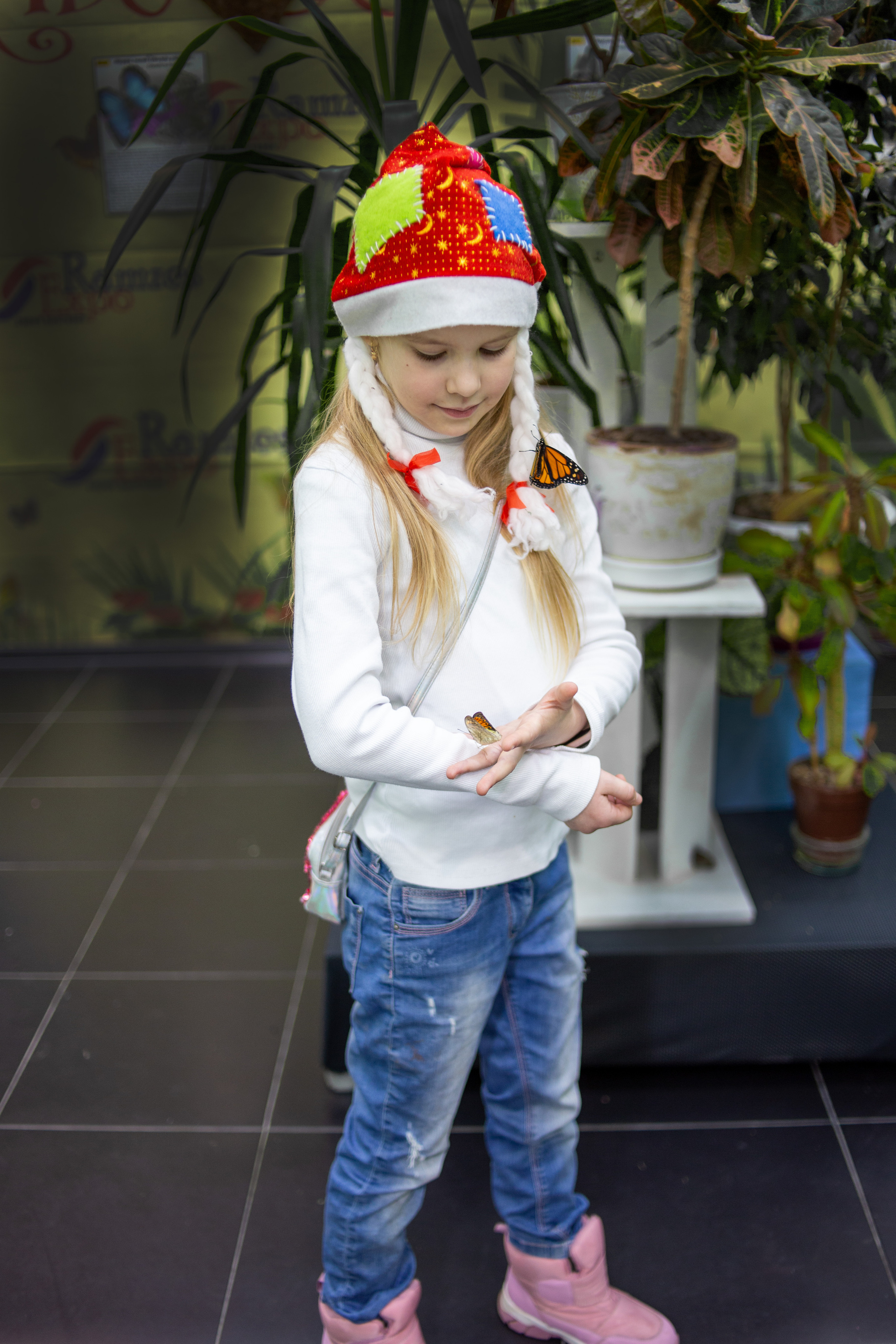 Экзотические бабочки в Минске. Фотограф в Минске Екатерина Тузова