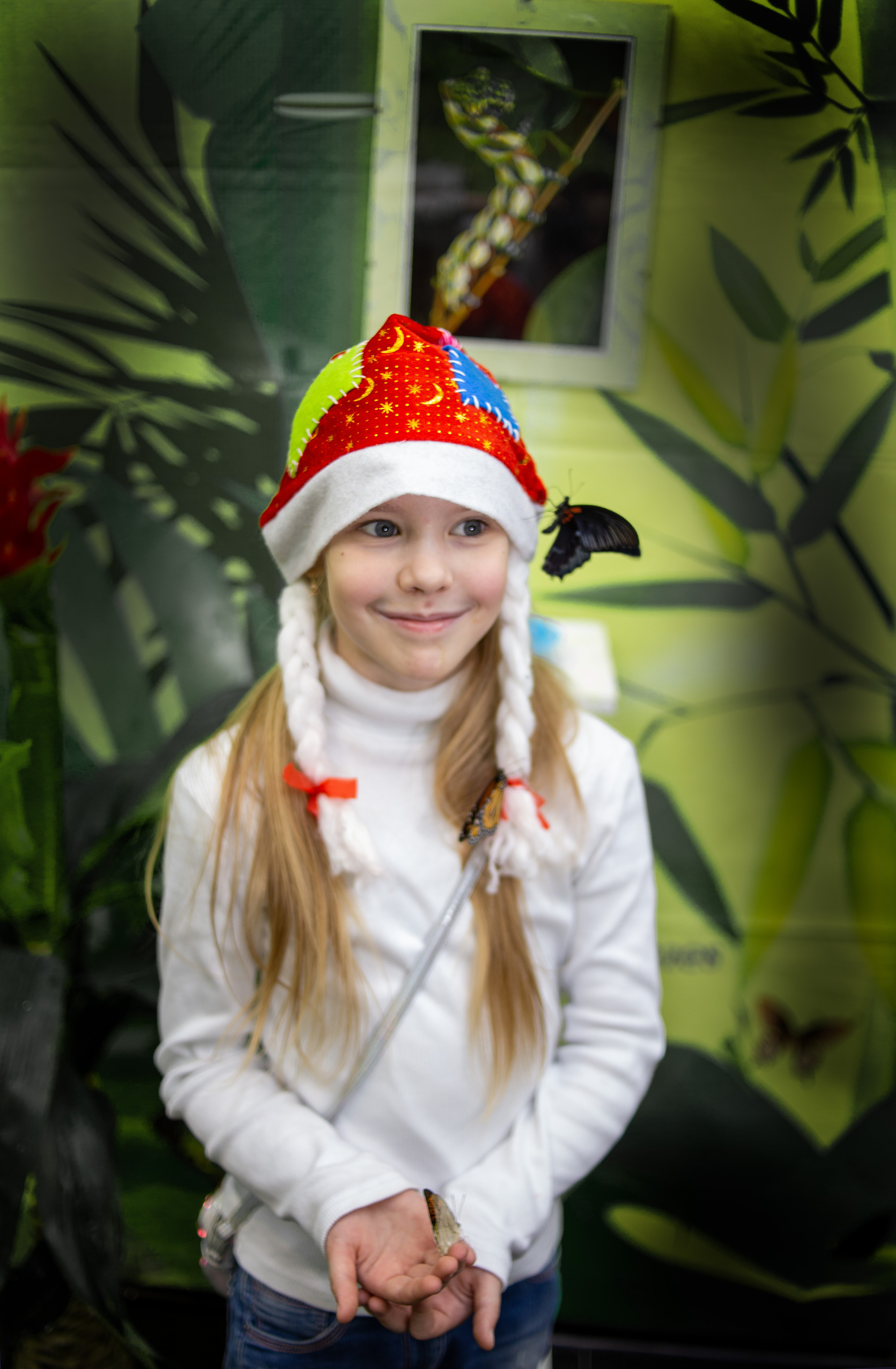 Экзотические бабочки в Минске. Фотограф в Минске Екатерина Тузова