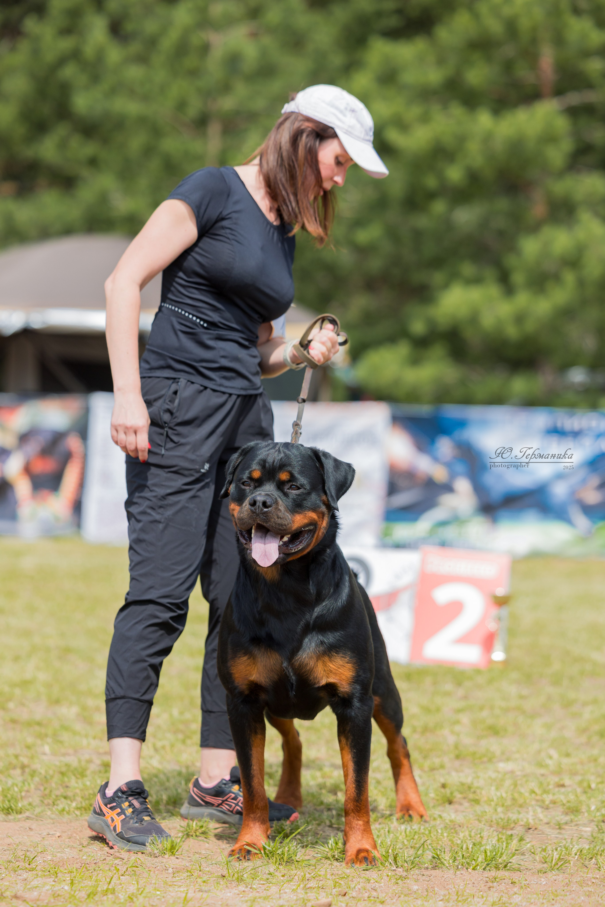 Тверь ротвейлеры 5-6.07.2025. Фотограф-анималист Юлия Германика