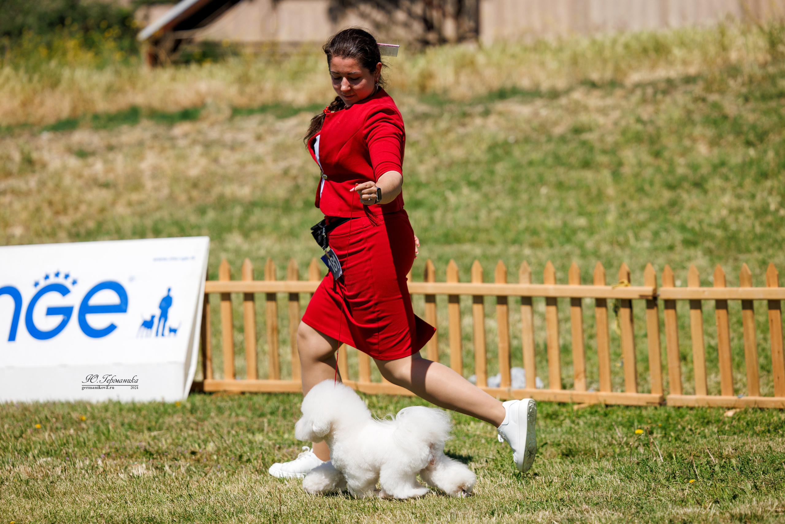 Ереван 3-5.06.2024. Фотограф-анималист Юлия Германика
