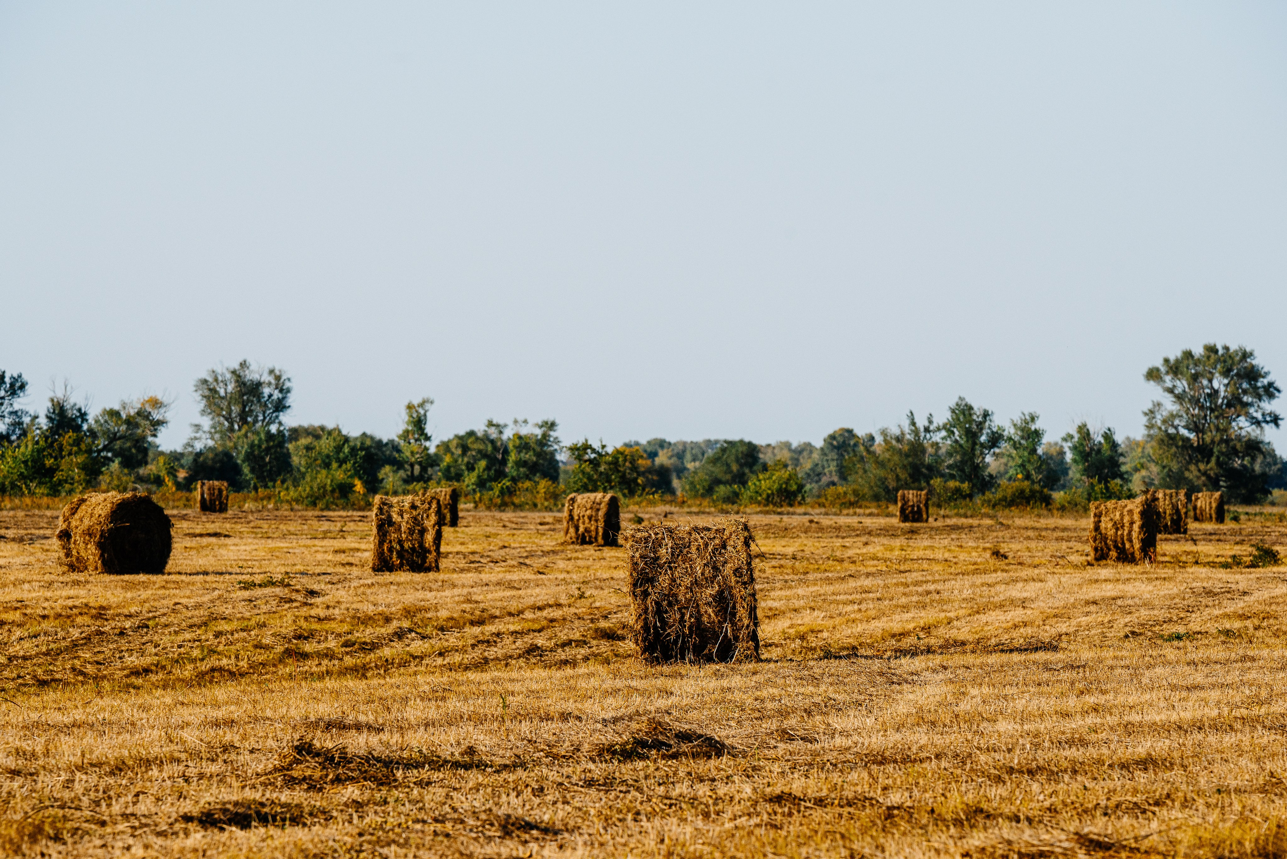Пейзажи. Фотограф в Уральске | Трищенков Гордей