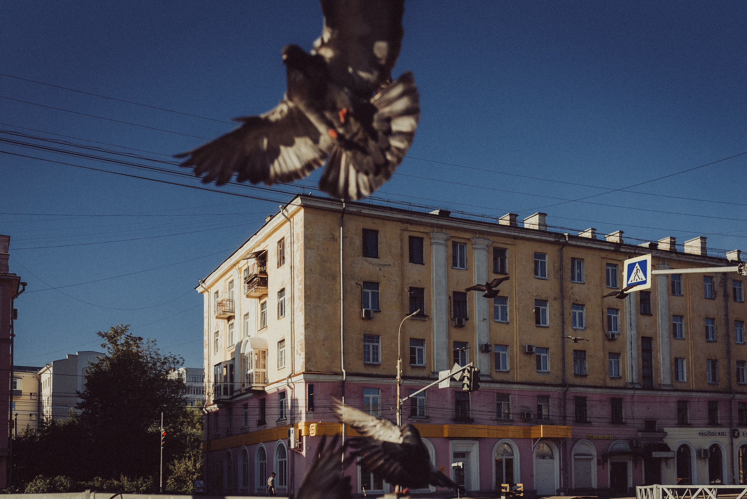 Проект #улицыгорода. Ярославль, улица Большая Фёдоровская. Документальный фотограф Илья Тихановский