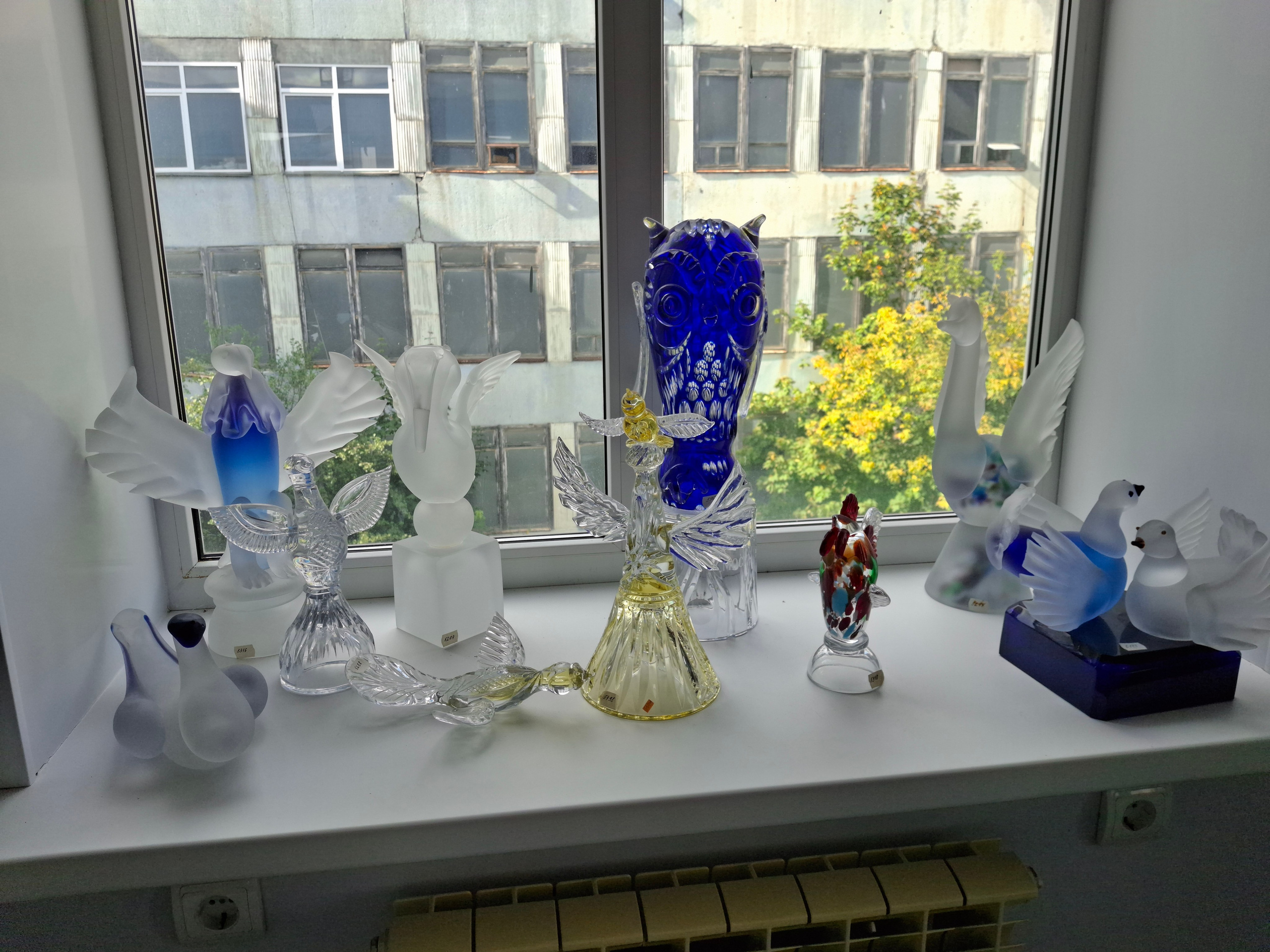 Гусь-Хрустальный. 19 сентября 2025. Игорь Жучков. Россия увиденная глазами путешествующего фотографа