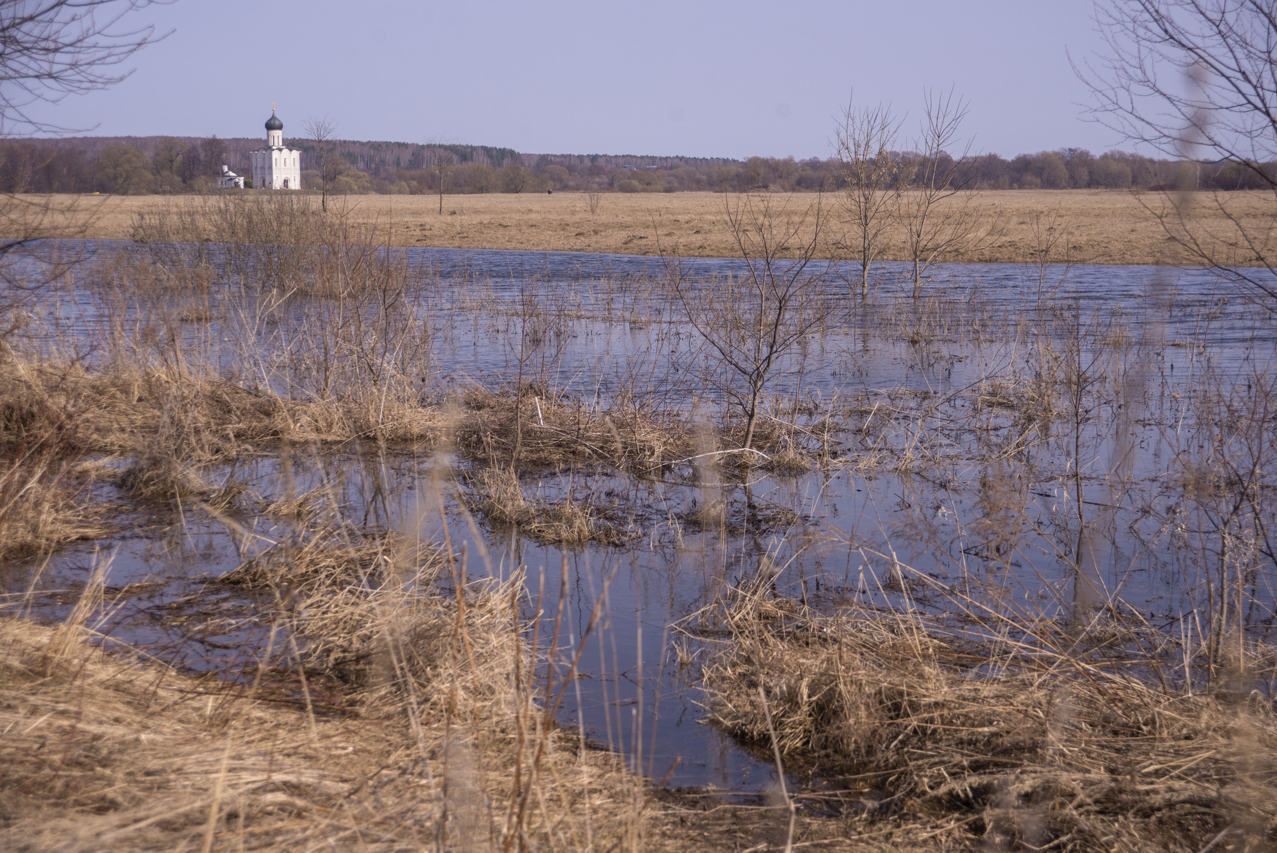 Боголюбово. Апрель 2021