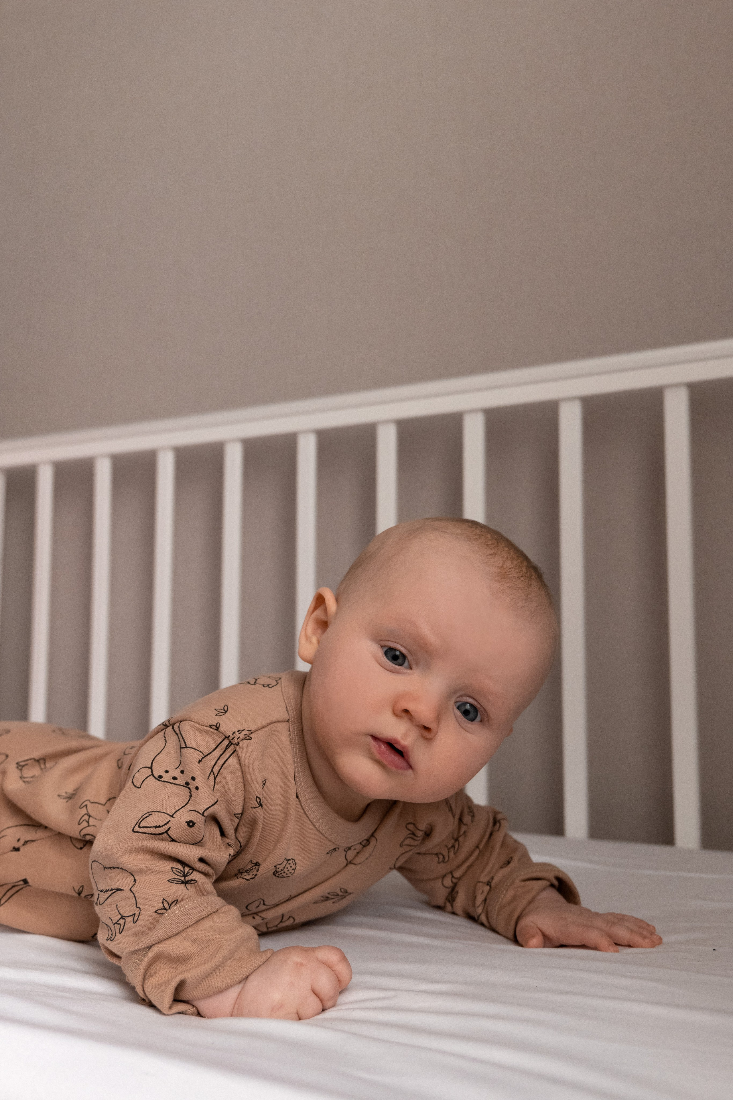 Мишке 4 месяца. Фотограф видеограф Ольга Василевская