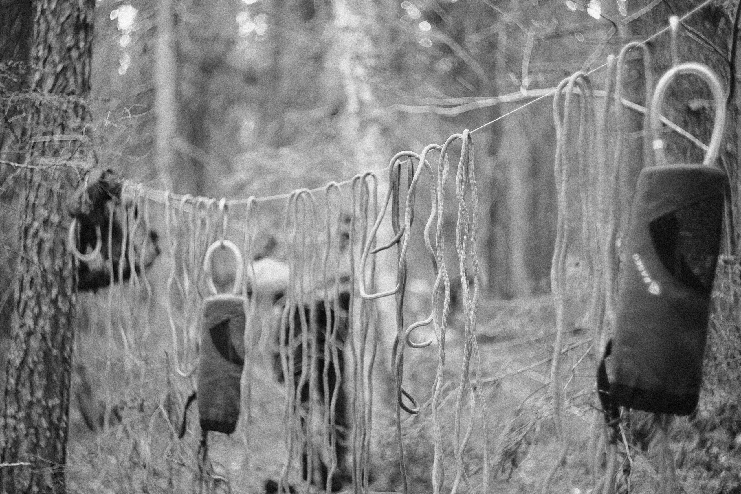 Укса. Фотограф Санкт-Петербург Макарова Дарья