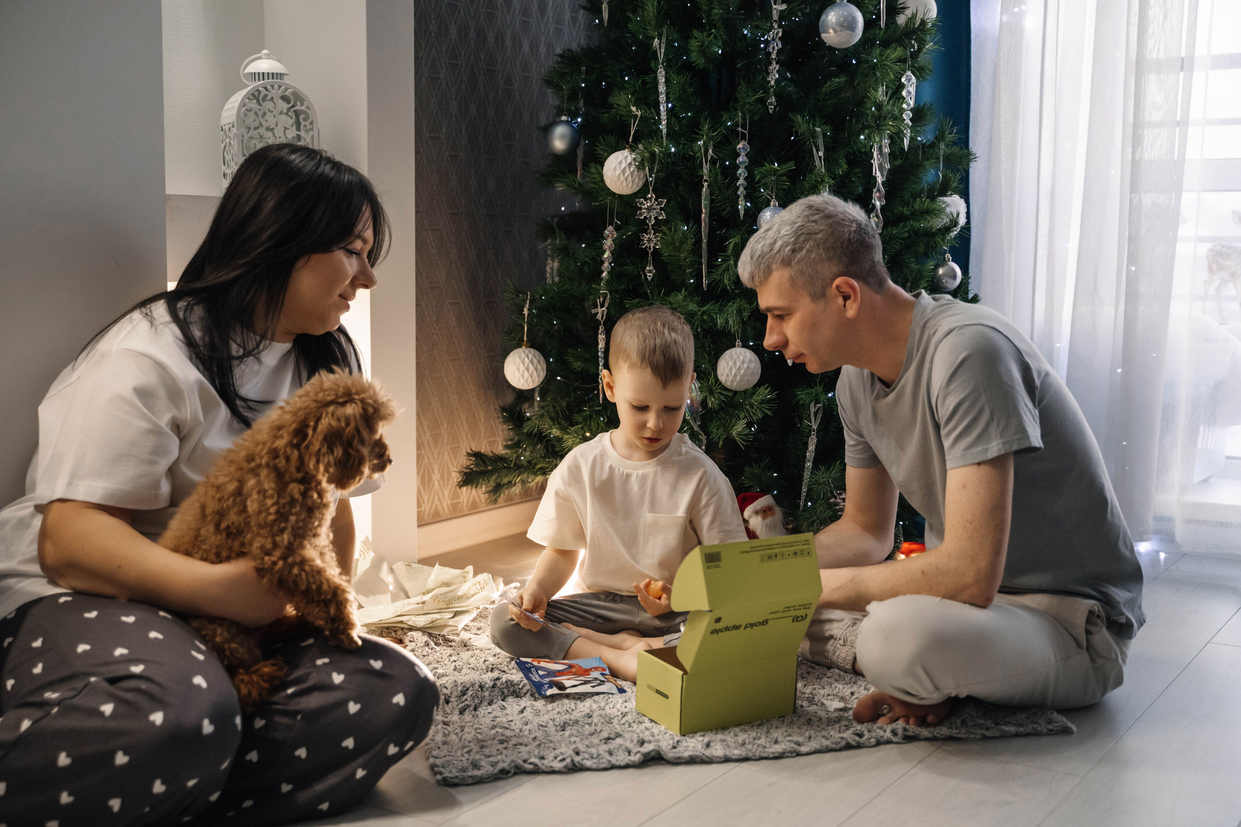 Предновогодний вечер. Главная