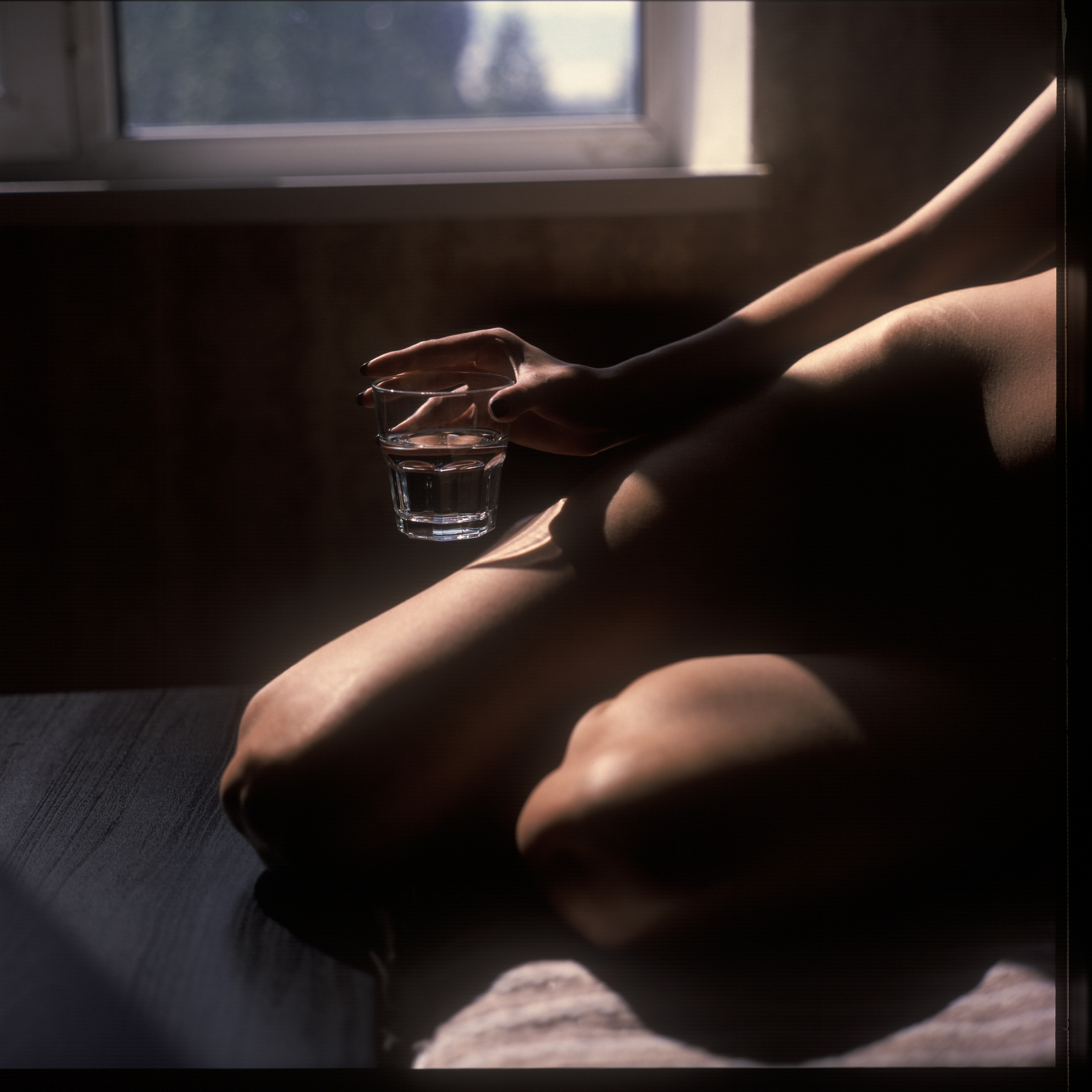 📸 Zenza Bronica EC 🎞️ Fujichrome Provia 100F