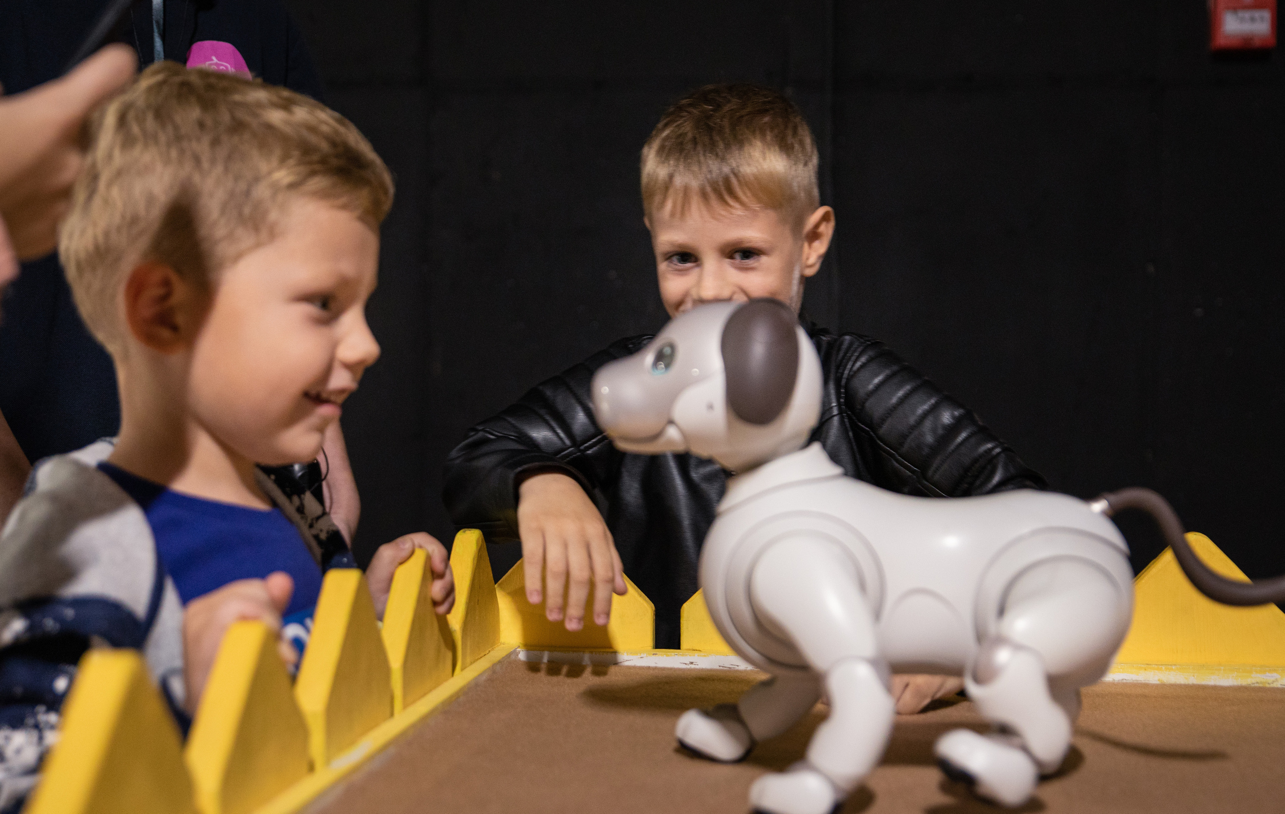 Фестиваль роботов. Семейный и частный фотограф во Владивостоке