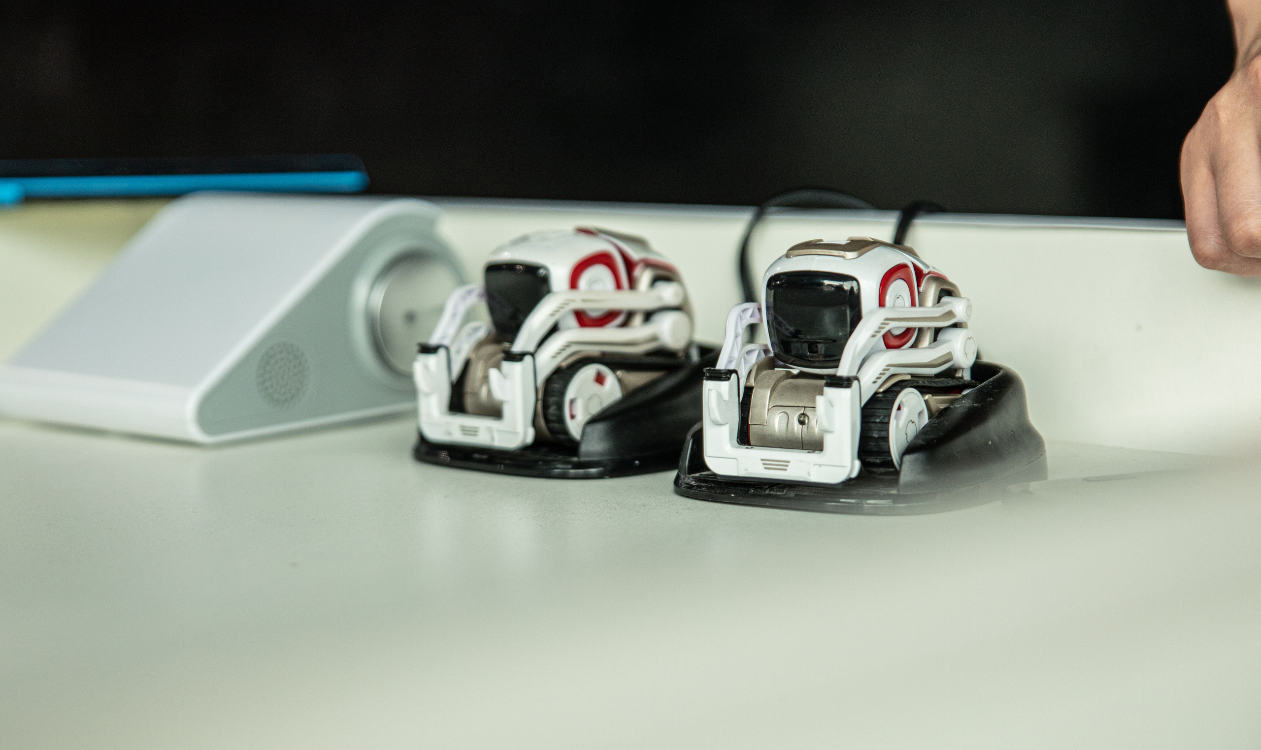 Фестиваль роботов. Семейный и частный фотограф во Владивостоке