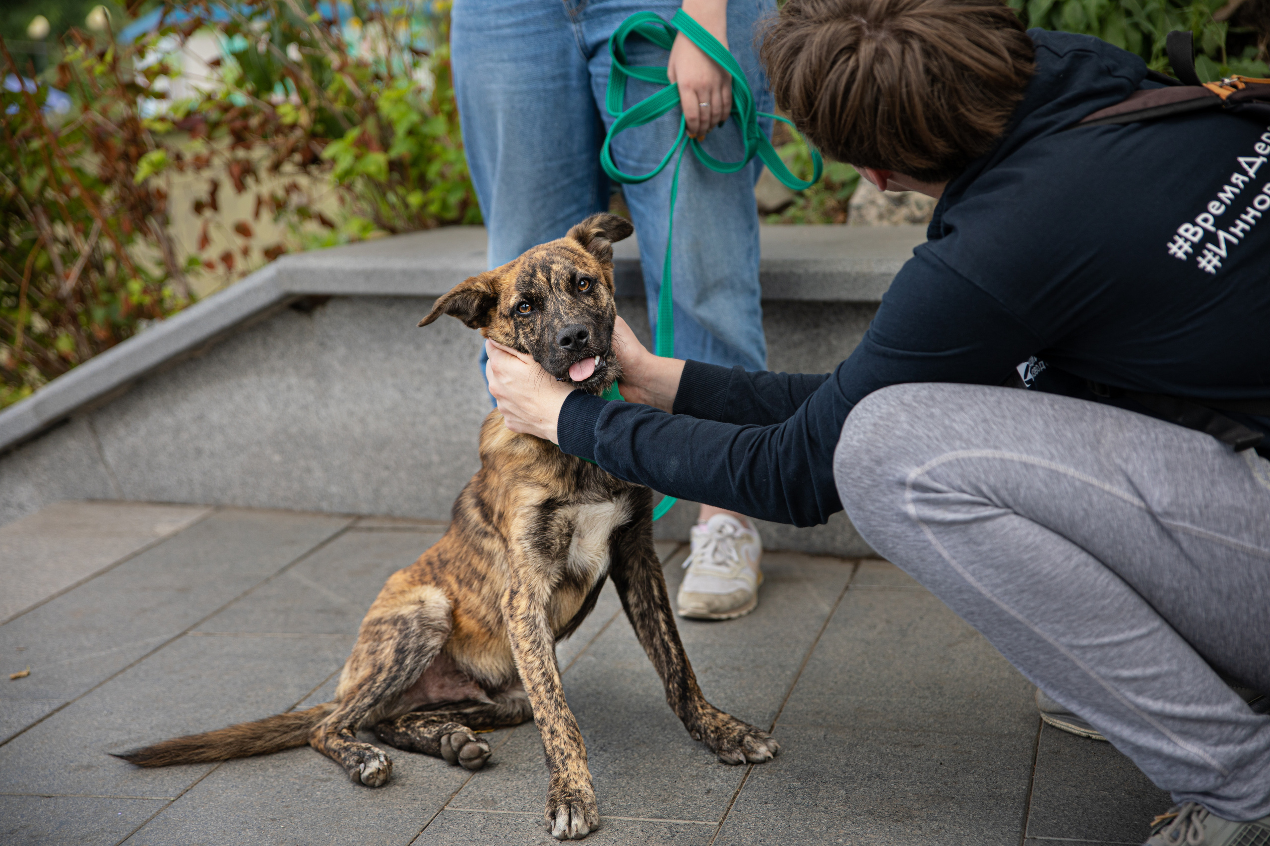 Фестиваль «Дорога домой». Семейный и частный фотограф во Владивостоке