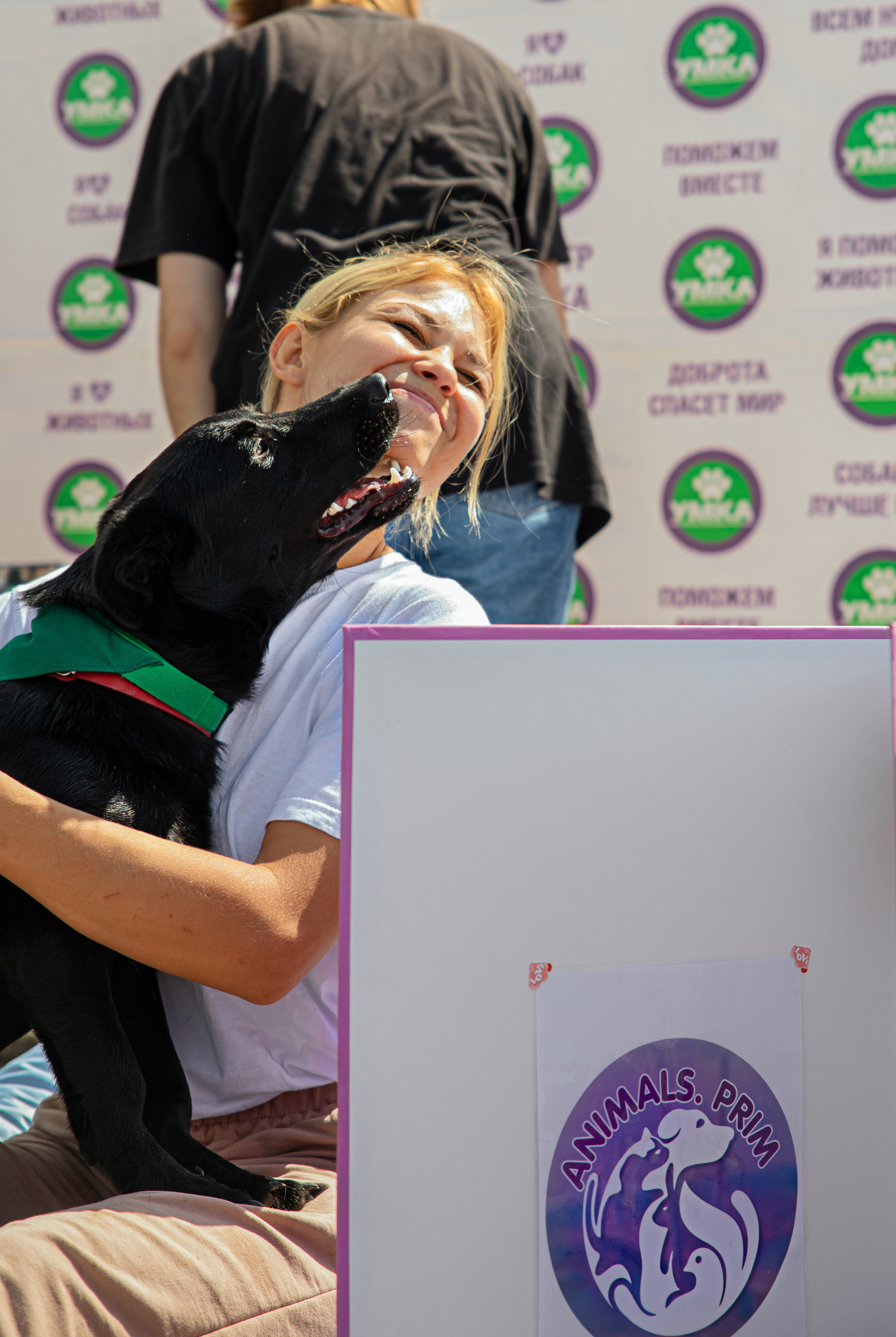 Фестиваль «Дорога домой». Семейный и частный фотограф во Владивостоке