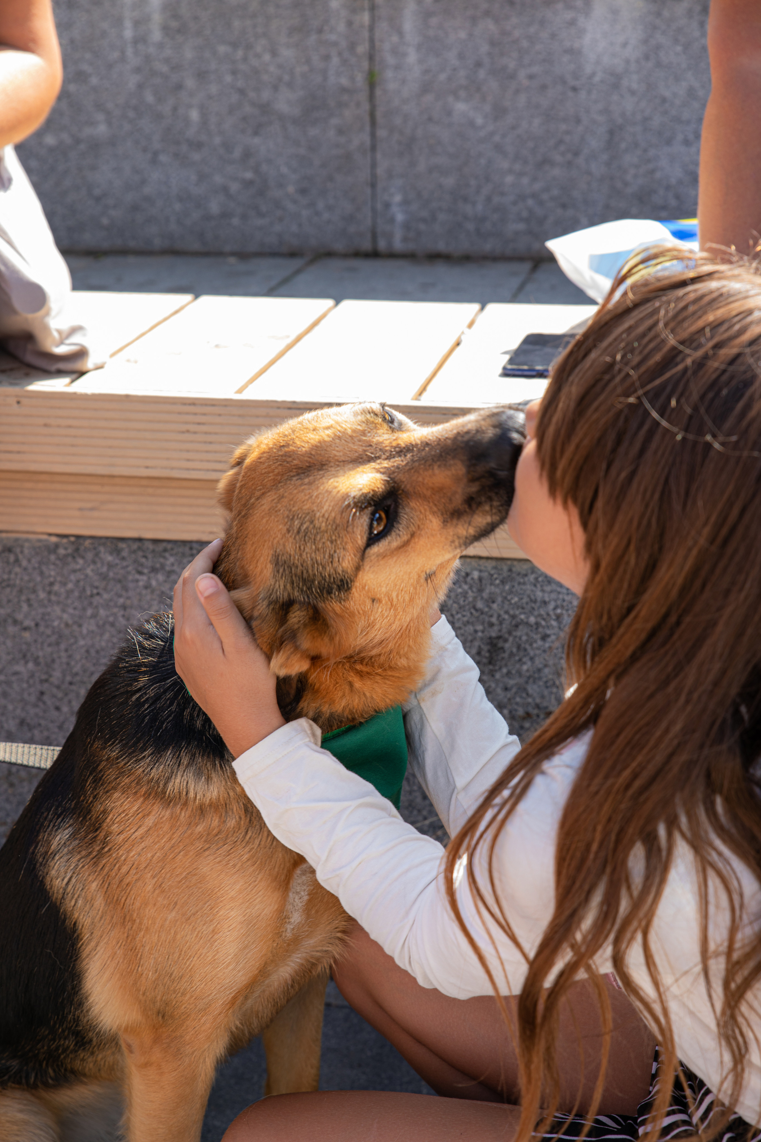 Фестиваль «Дорога домой». Семейный и частный фотограф во Владивостоке