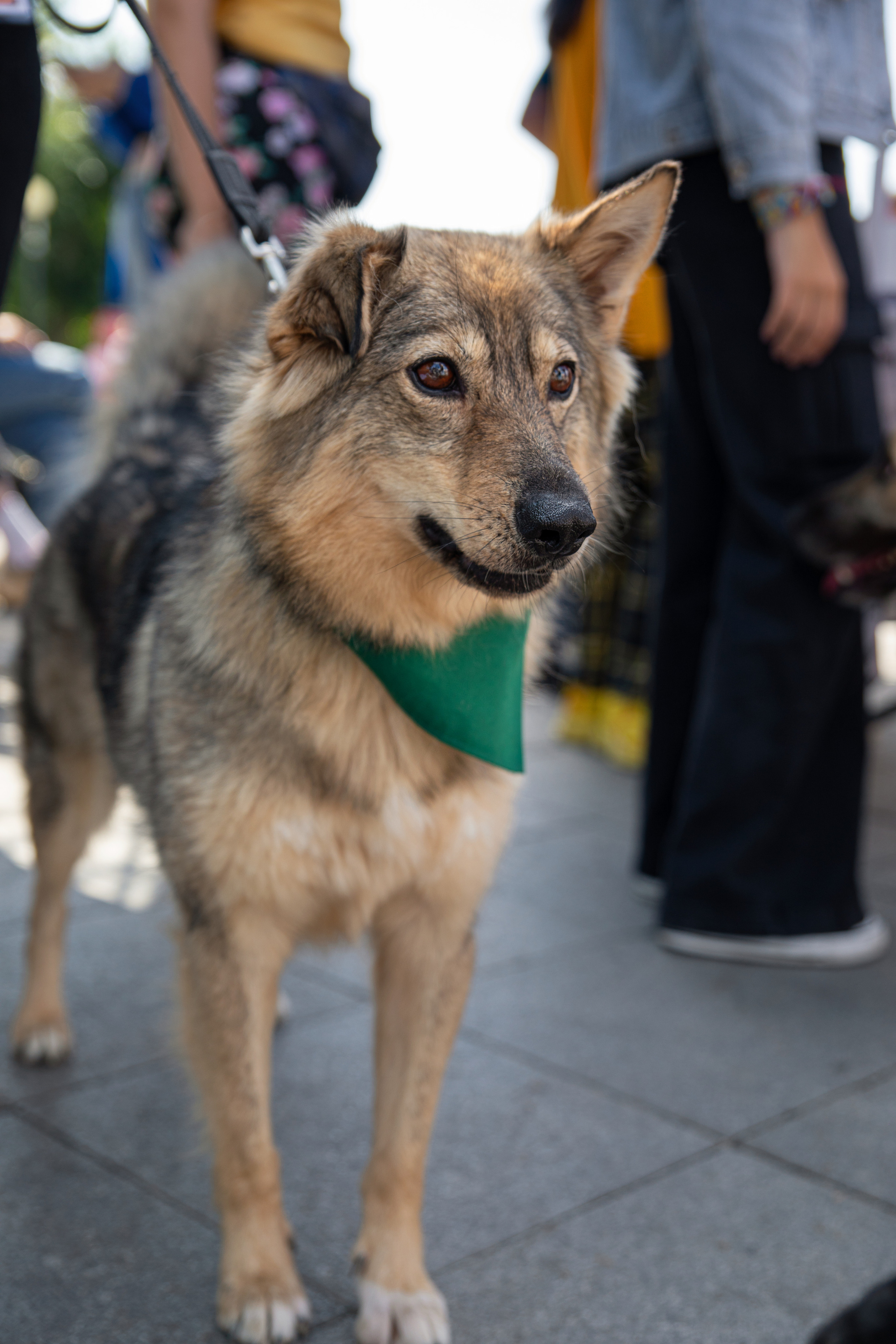 Фестиваль «Дорога домой». Семейный и частный фотограф во Владивостоке