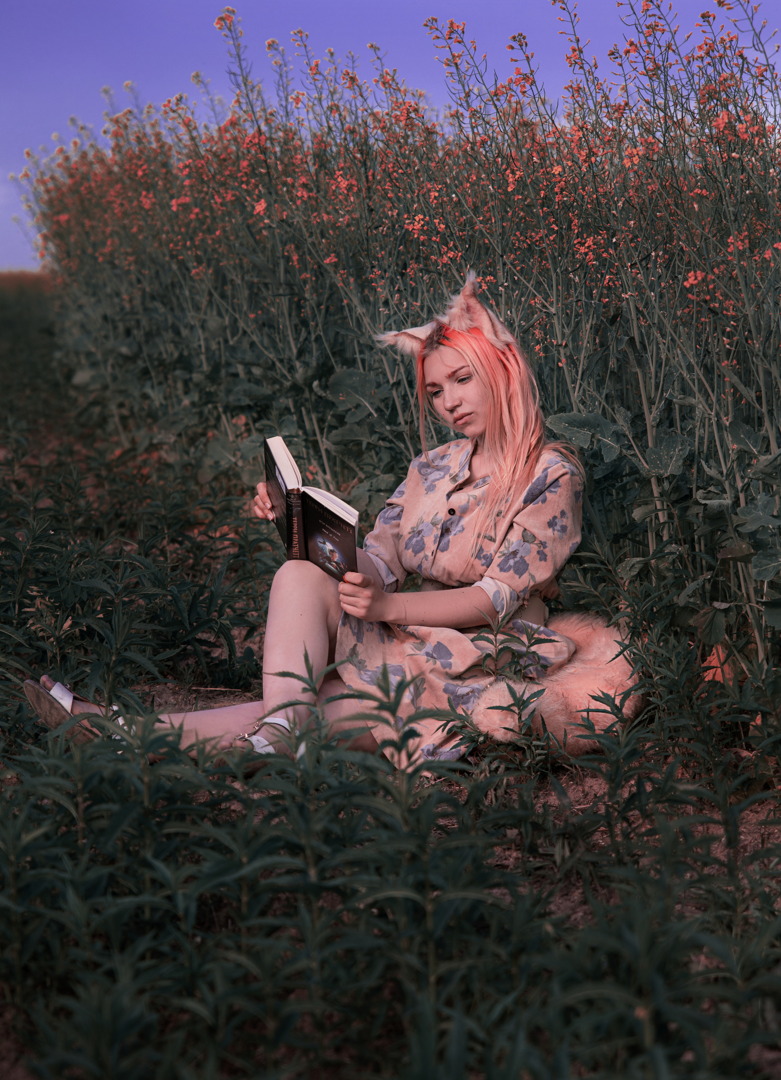 Лисица. Семейный и частный фотограф во Владивостоке