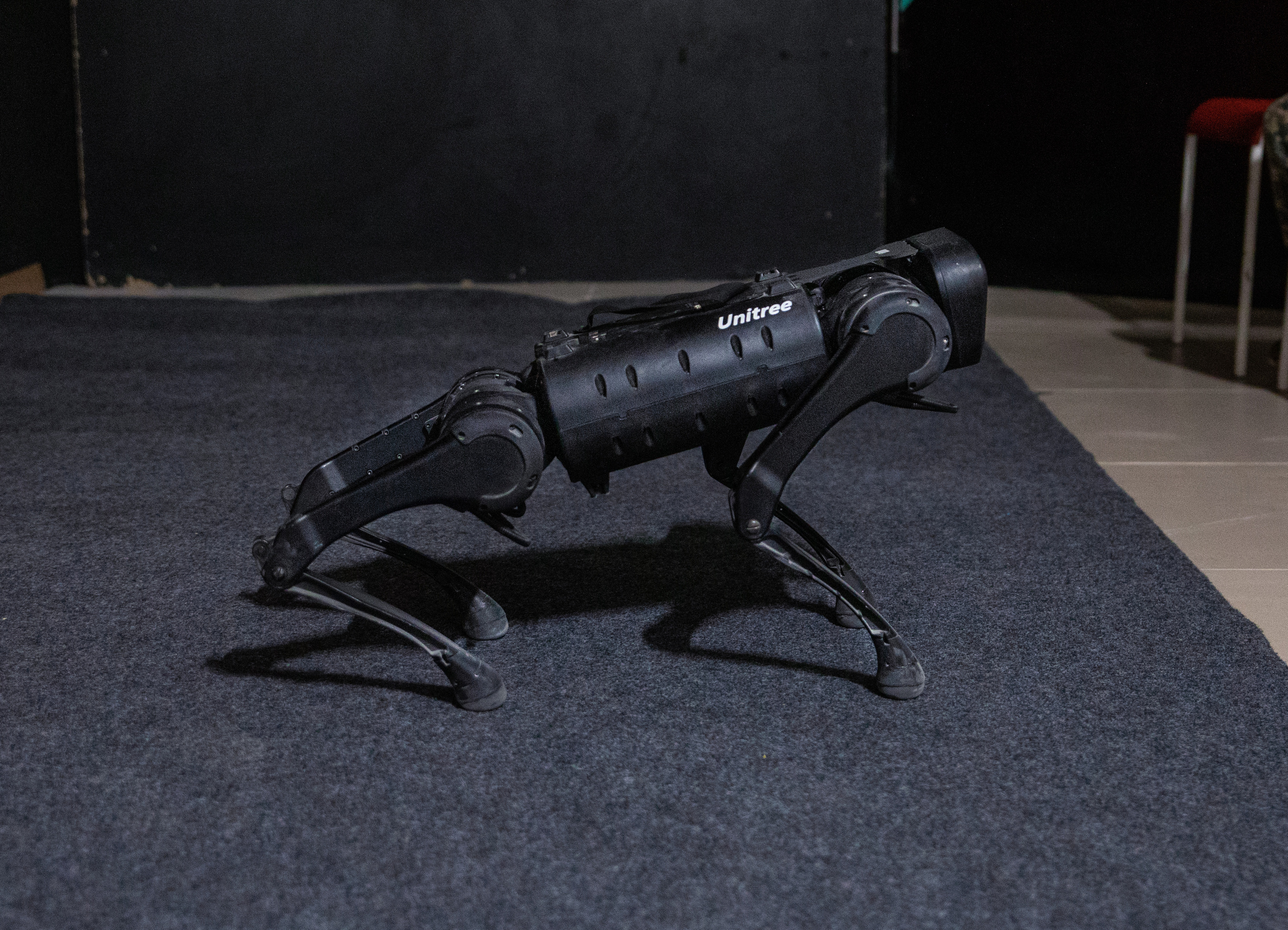 Фестиваль роботов. Семейный и частный фотограф во Владивостоке