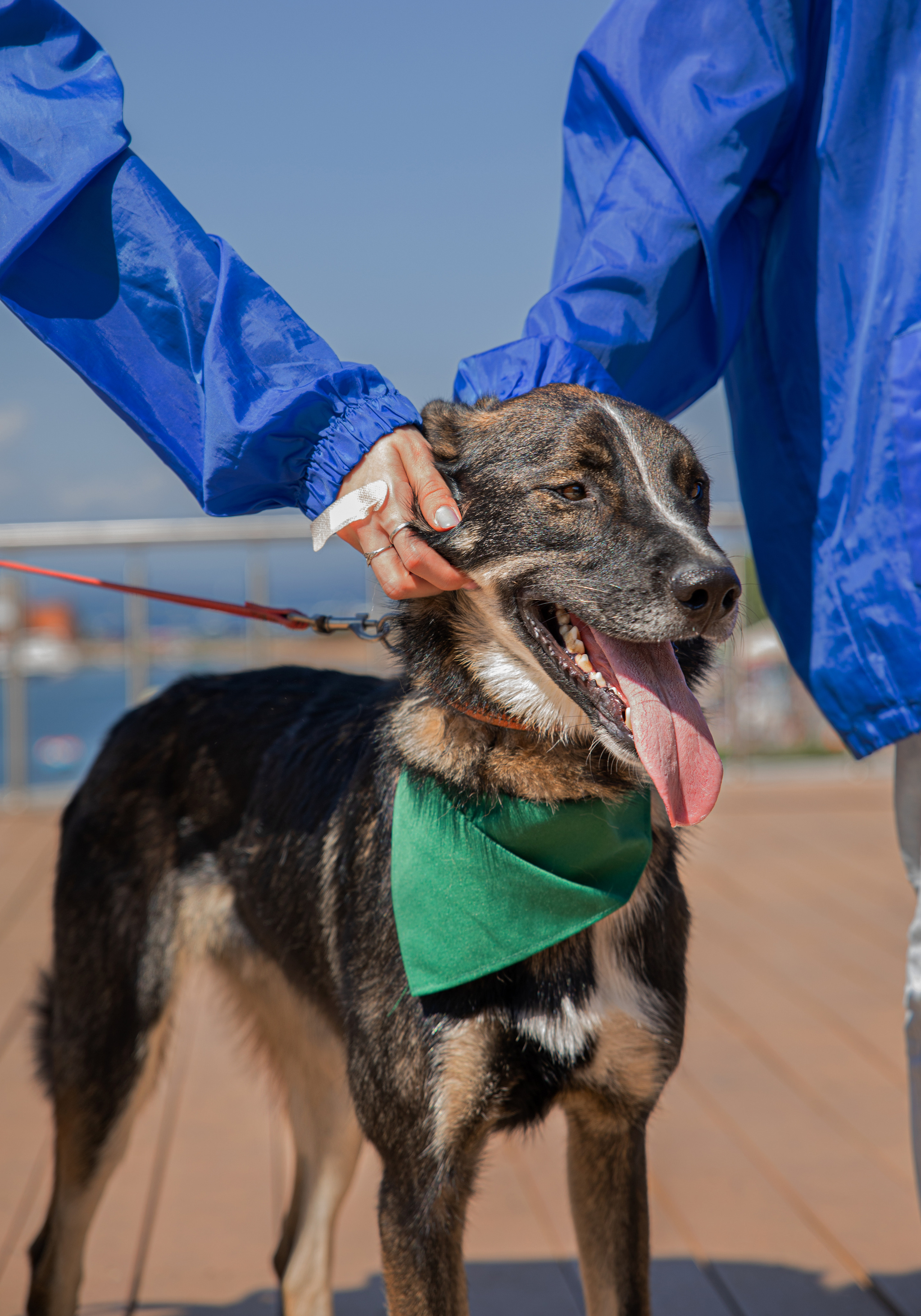 Фестиваль «Дорога домой». Семейный и частный фотограф во Владивостоке